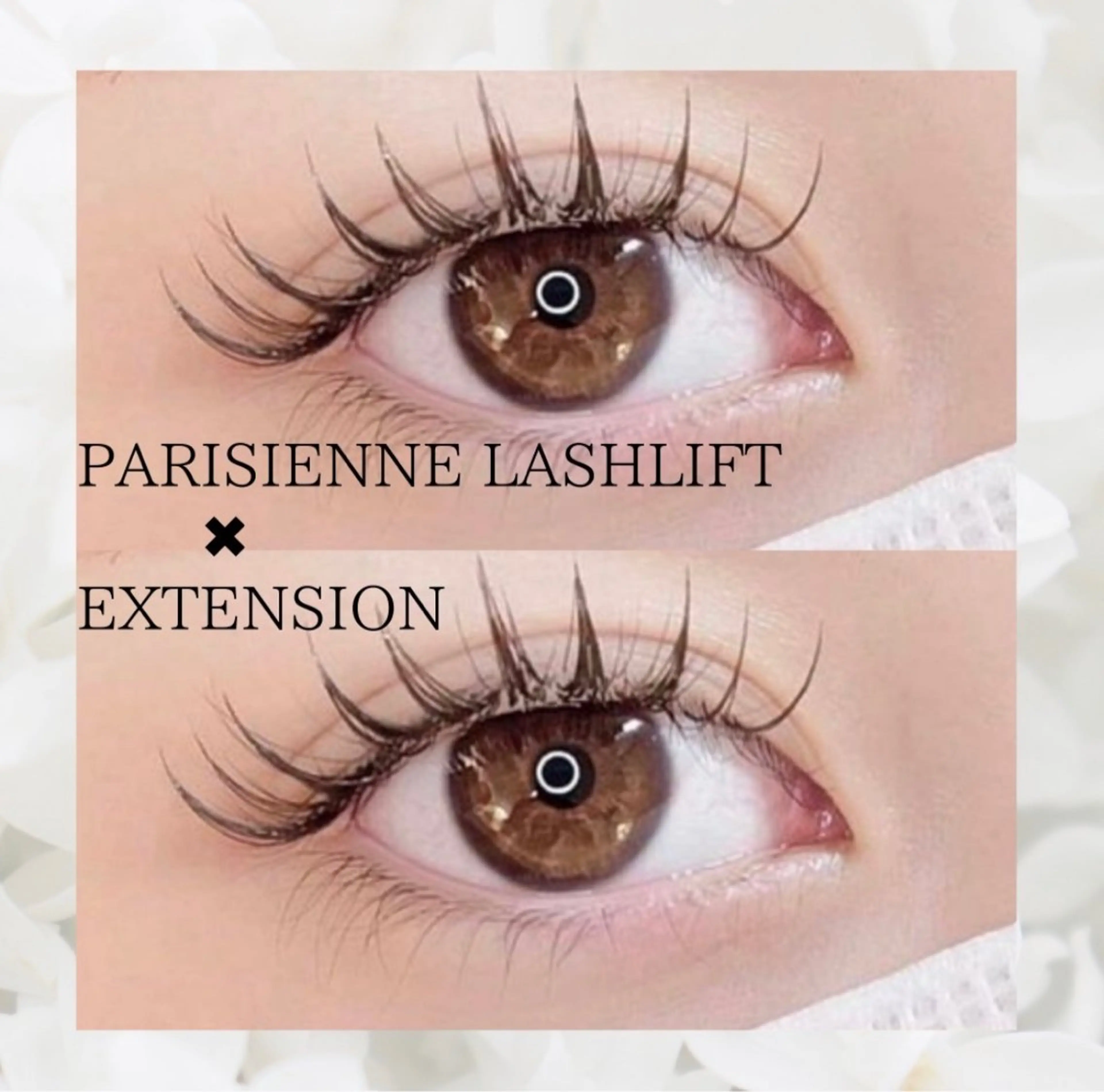 マツエク・マツパ 🌙mai🌙 パリジェンヌ/眉毛のマツエク・マツパデザイン