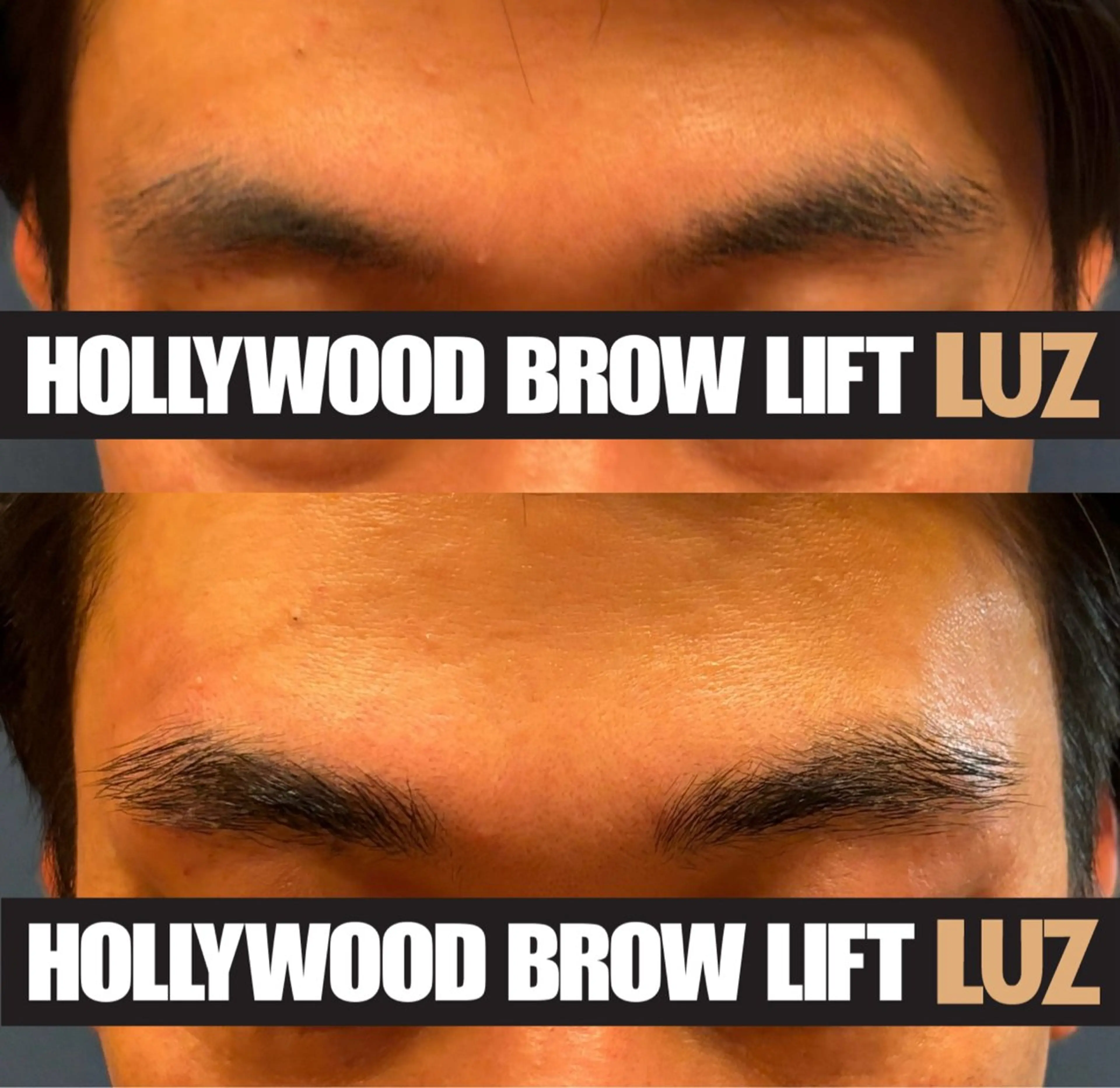 アイブロウ ハリウッドブロウリフト LUZ所属・LUZ ルースの眉毛・アイブロウイメージ