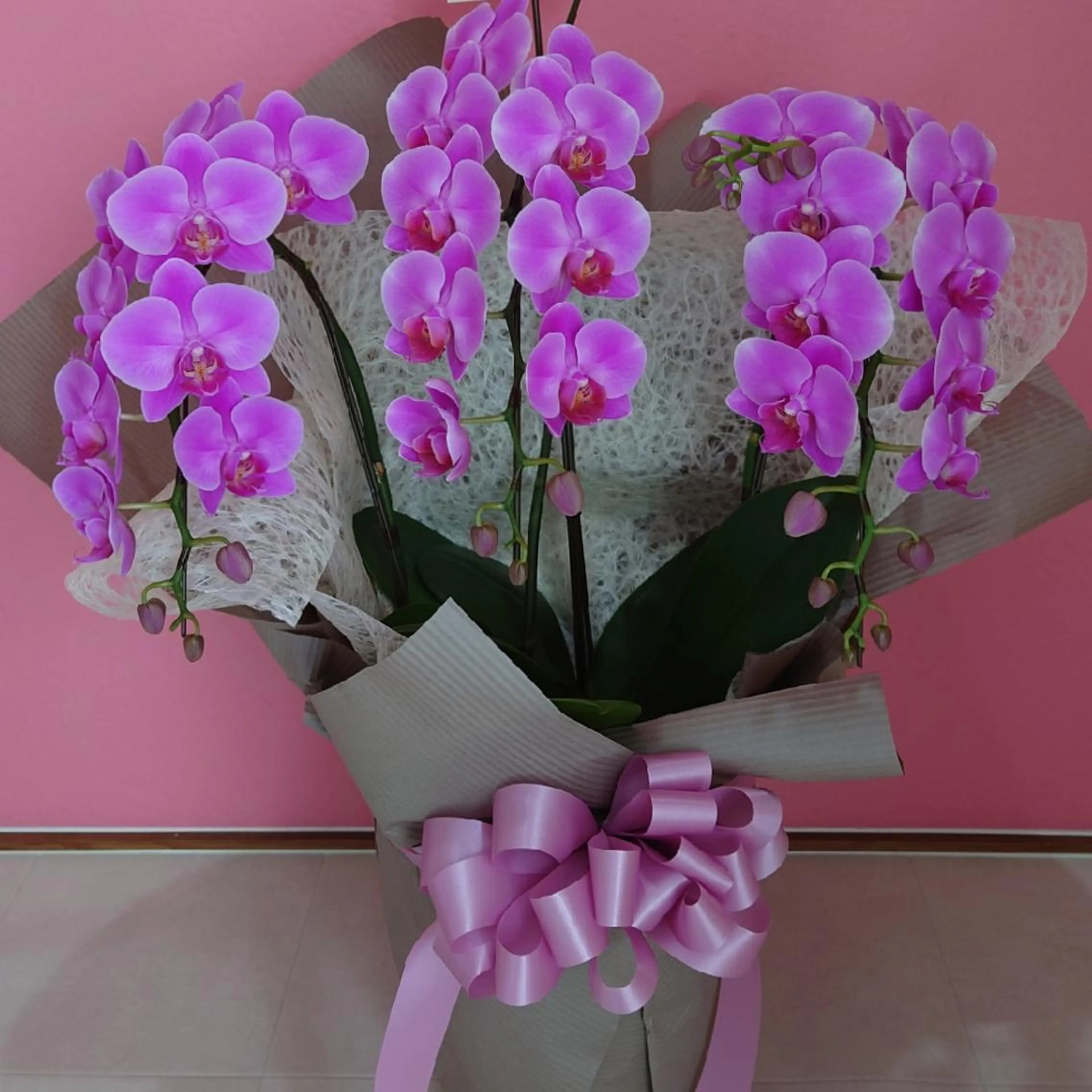 メナードフェイシャルサロン　打越所属・メナード 打越のその他イメージ