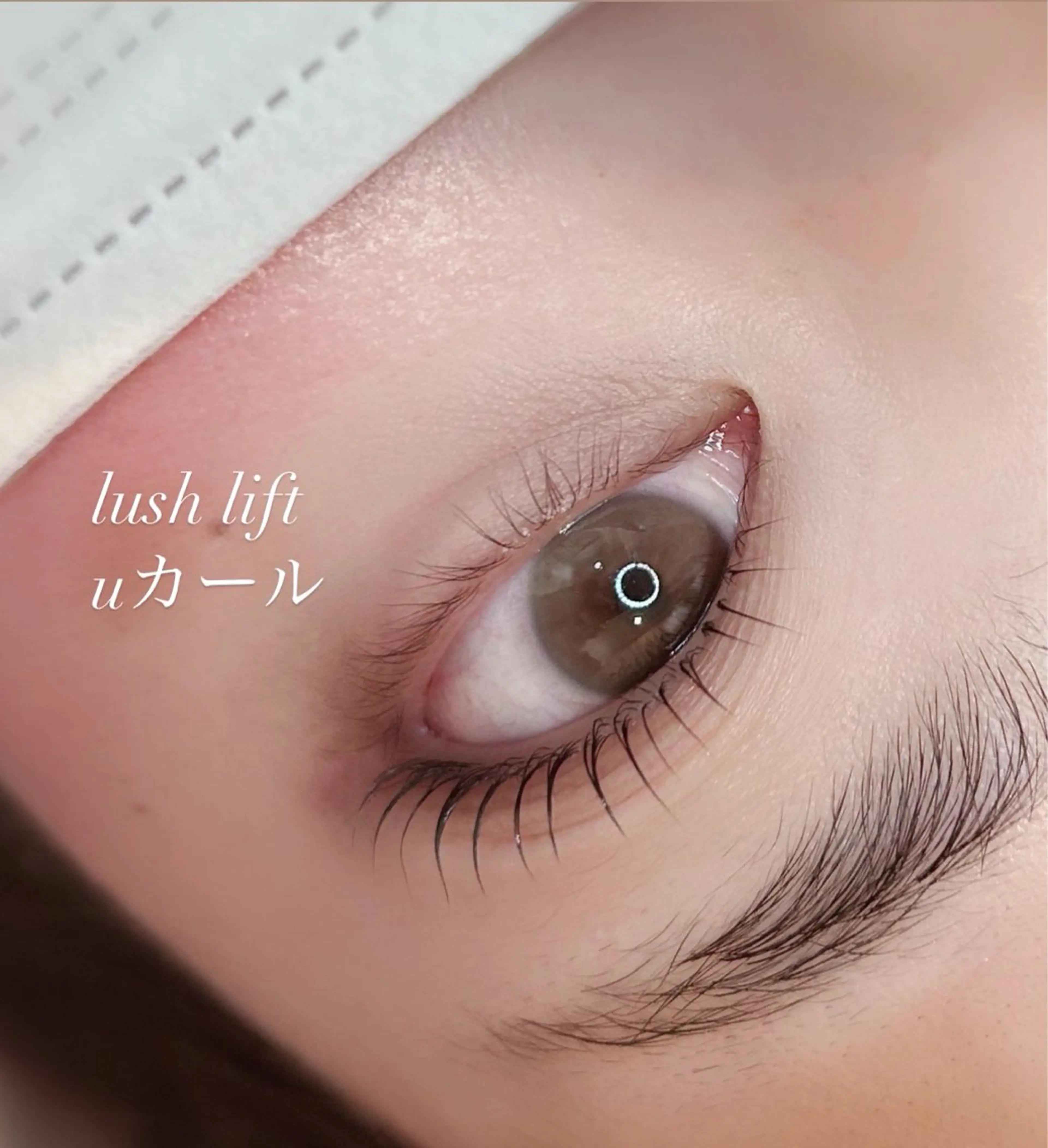 マツエク・マツパ LeCoeur宮内店 南雲のマツエク・マツパデザイン