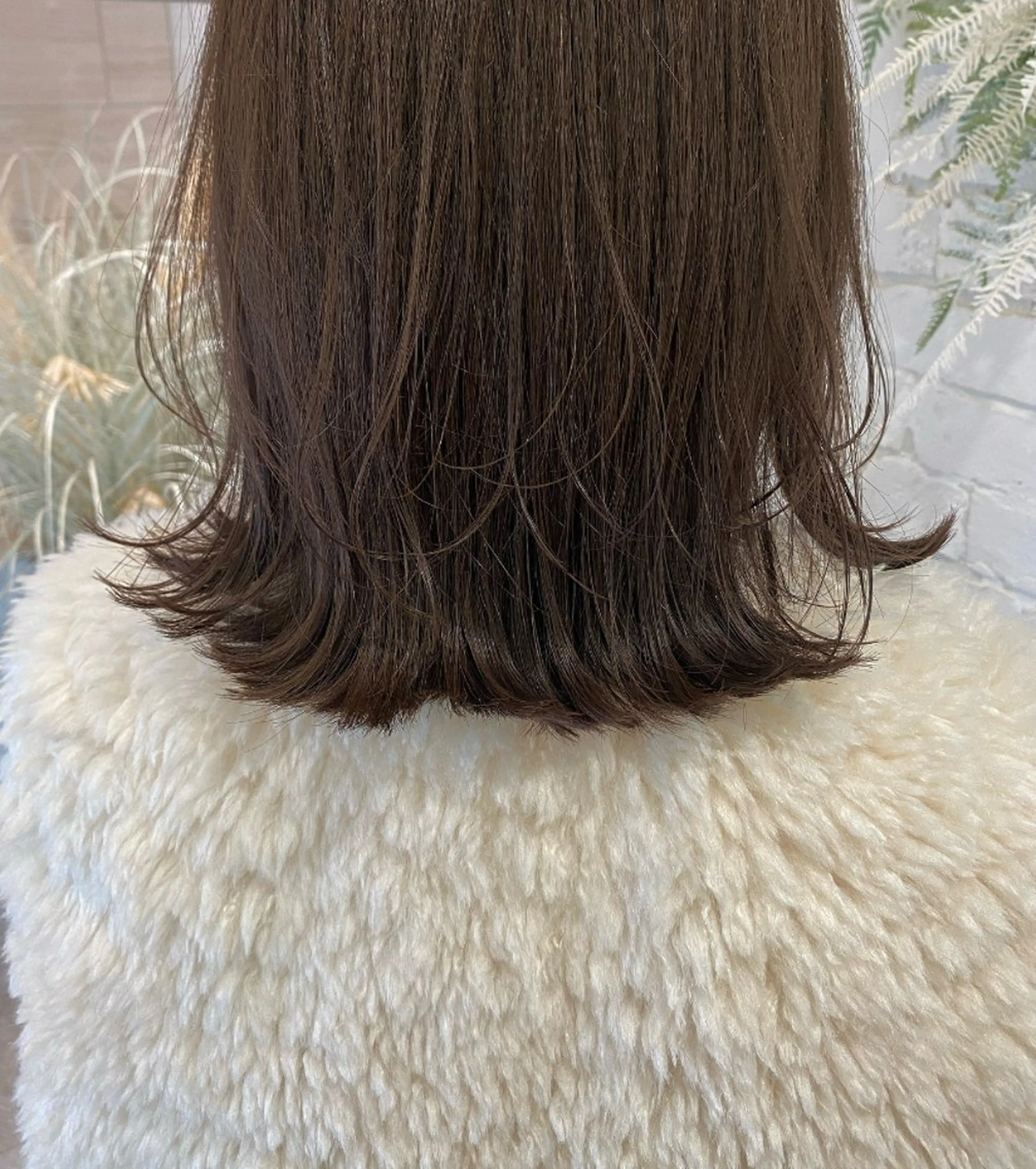 カット🌟シャンプーの写真