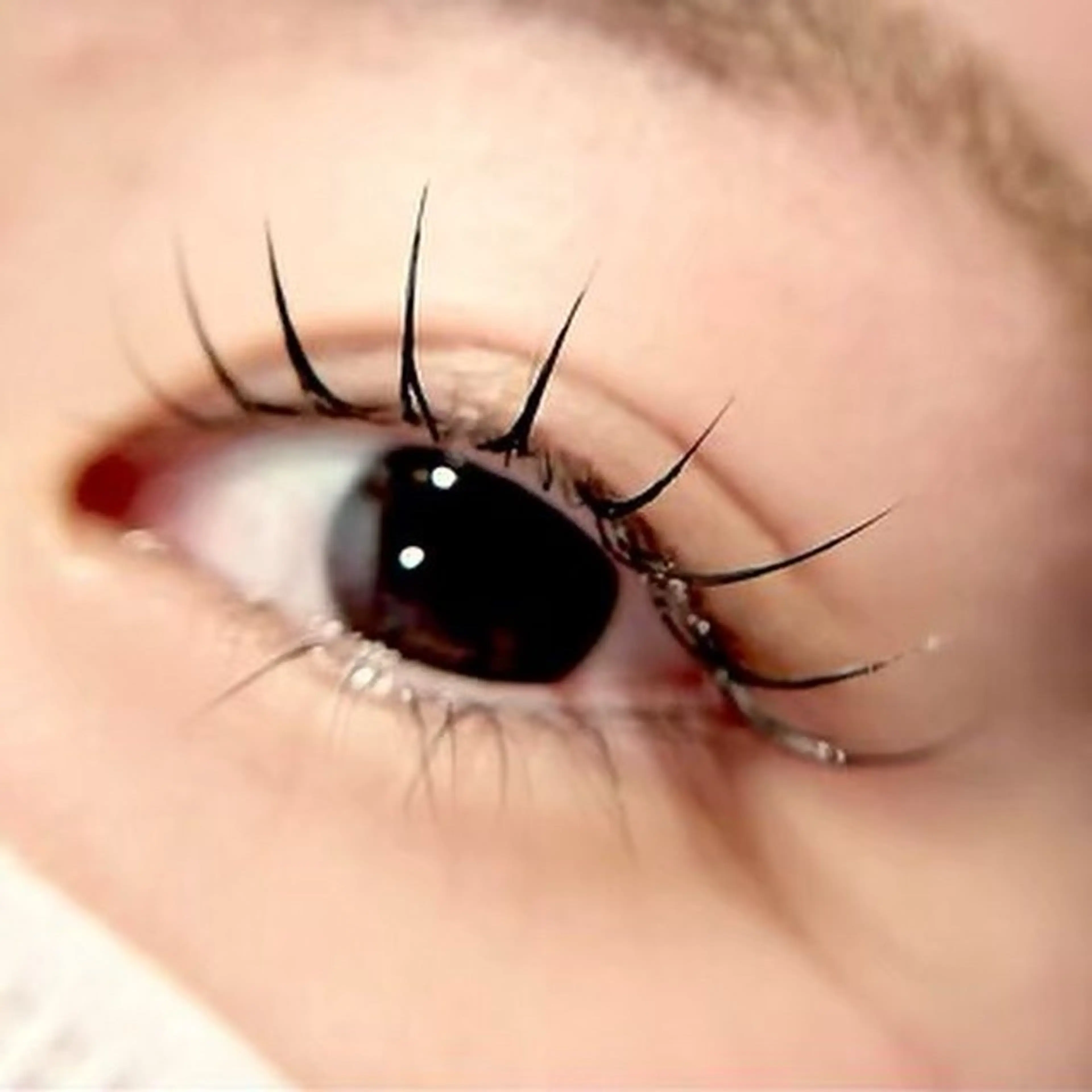 マツエク・マツパ iolo_ uedaの眉毛・アイブロウイメージ