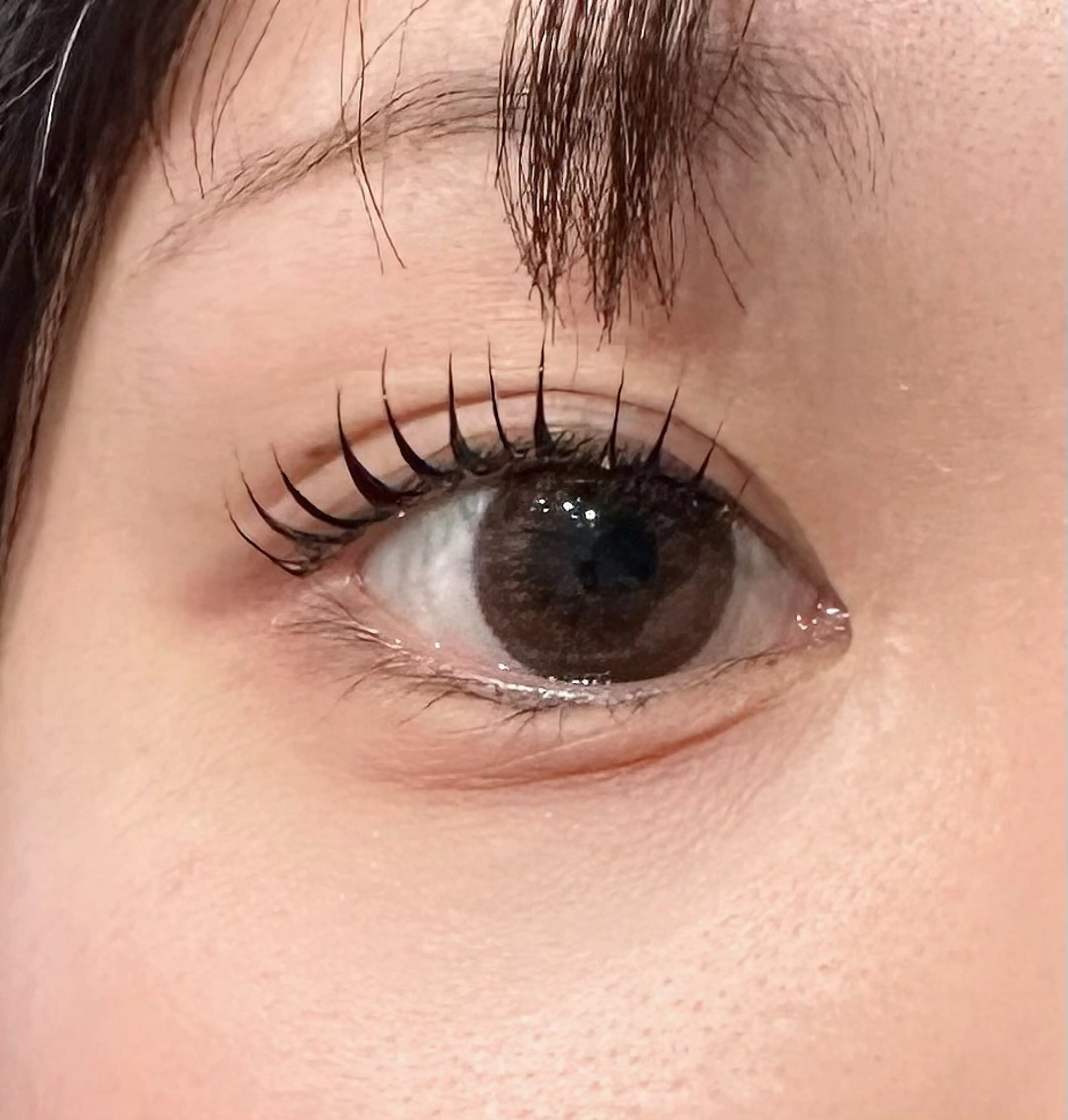 マツエク・マツパ dearbeauty plusのマツエク・マツパデザイン