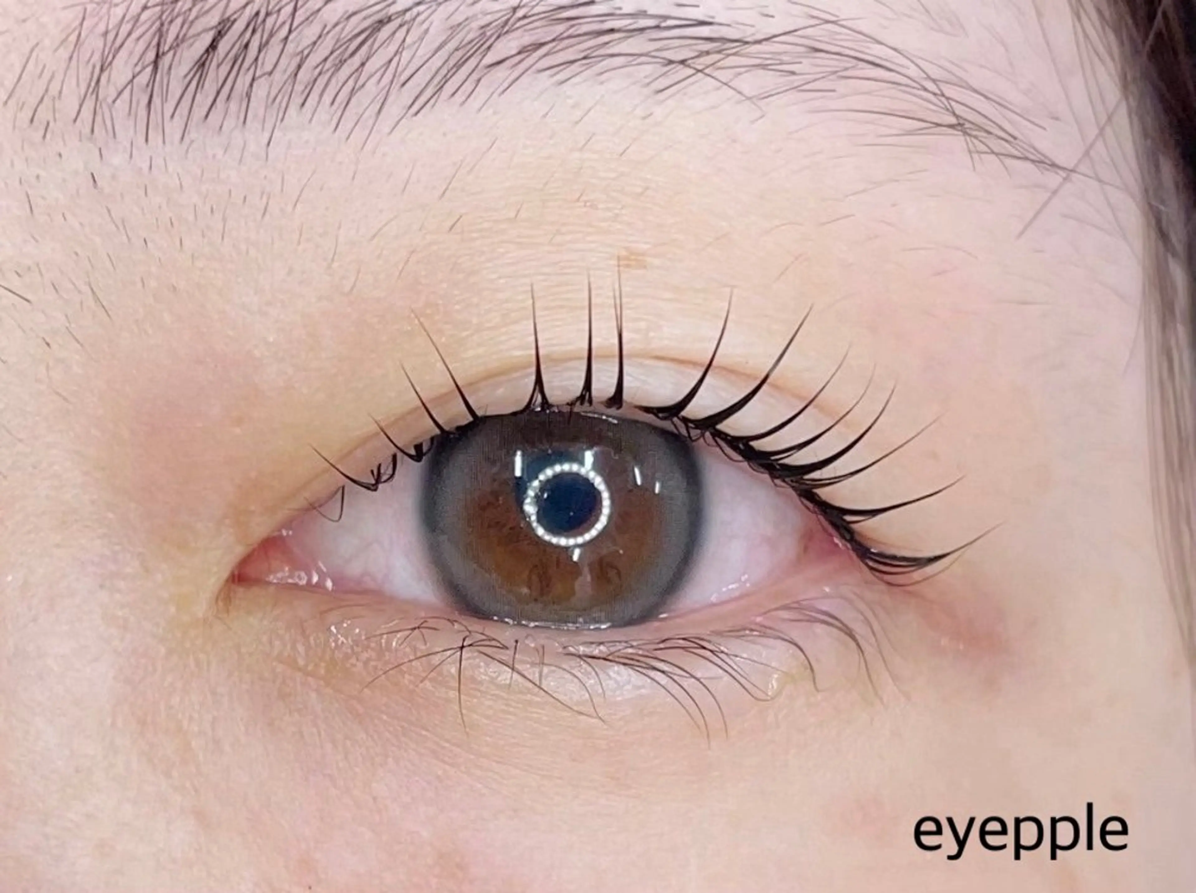 マツエク・マツパ eyepple あやのマツエク・マツパデザイン