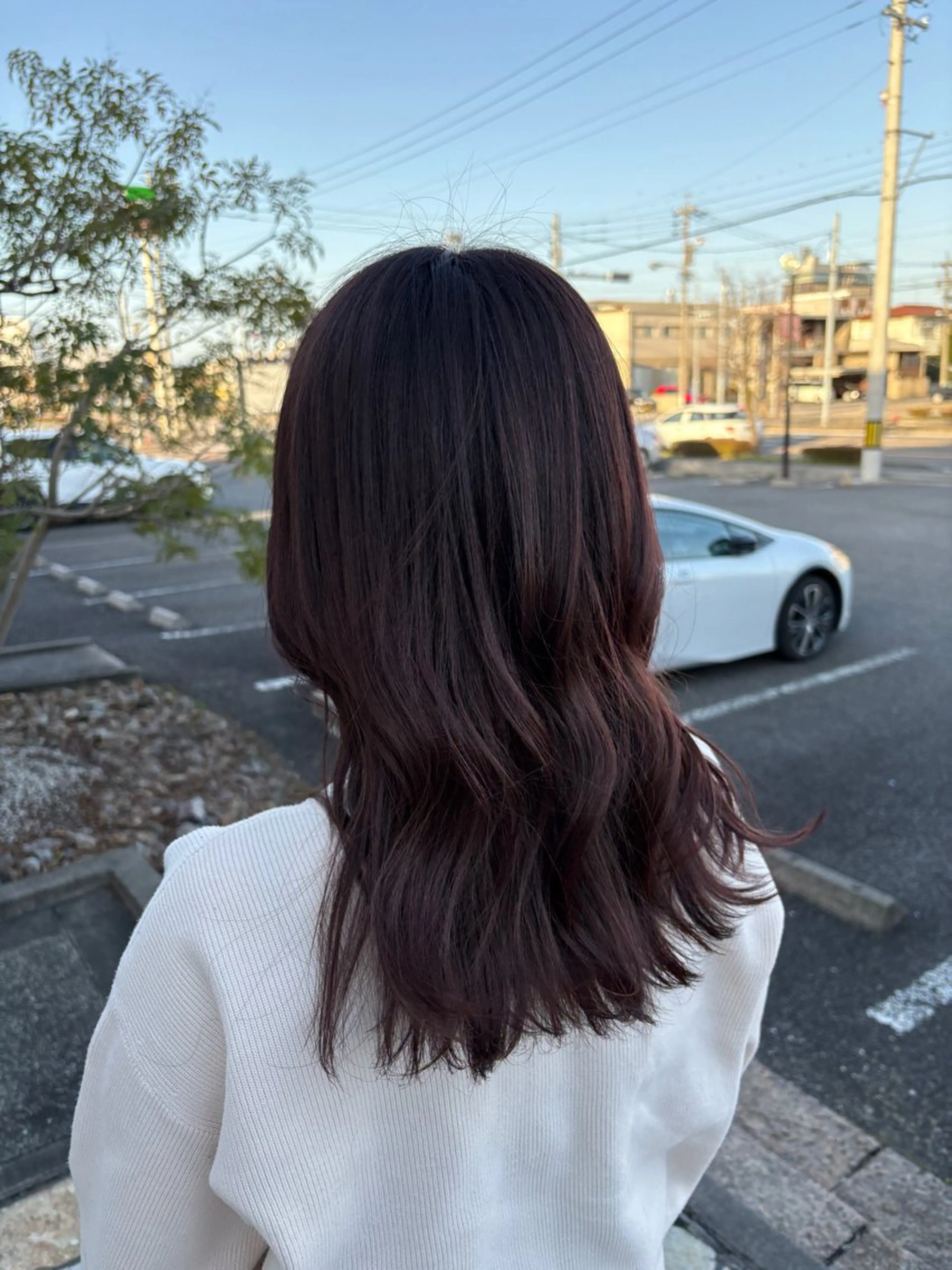 セミロング 河合 莉緒のヘアスタイル
