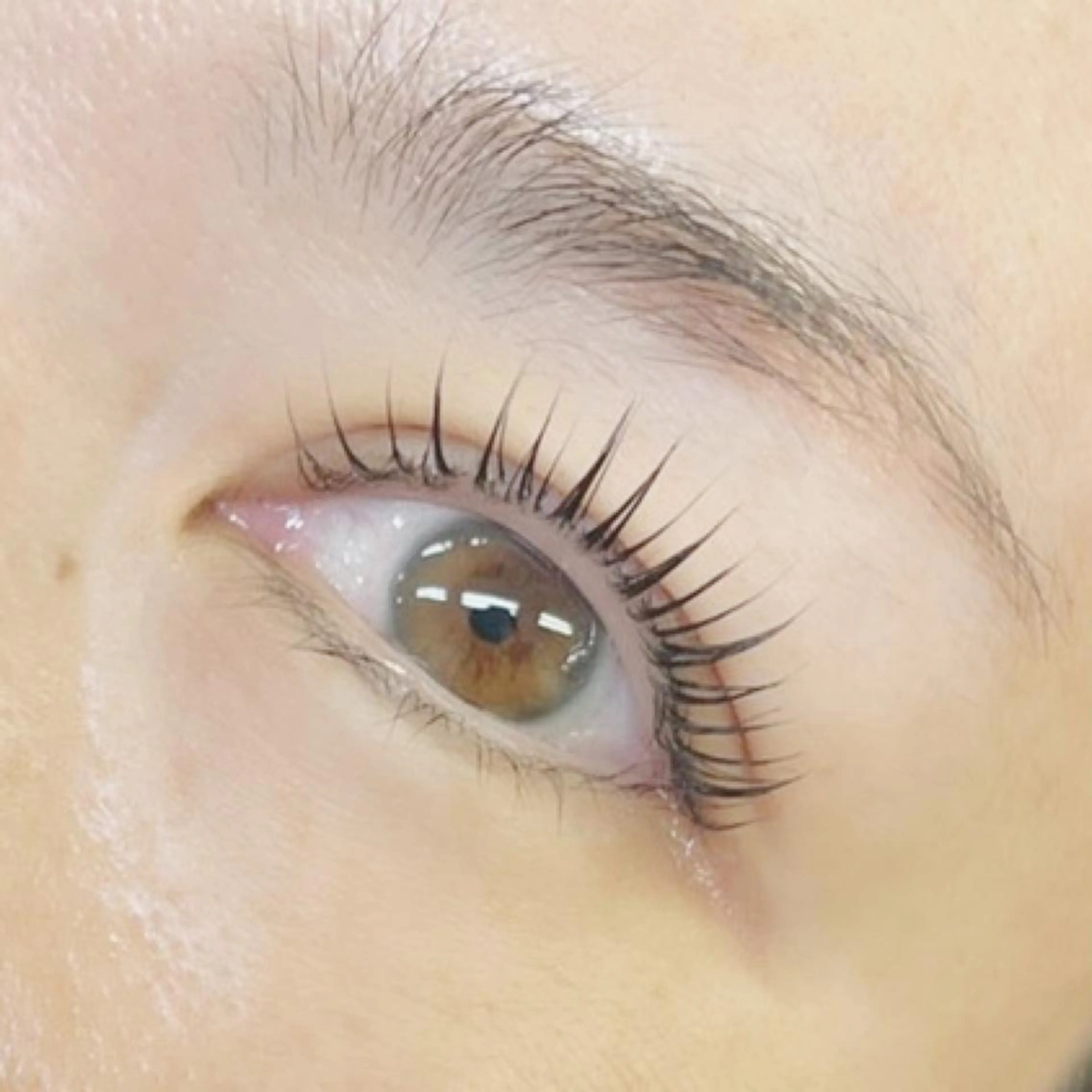 マツエク・マツパ HAYASAKA 韓国風/束感/パリのマツエク・マツパデザイン