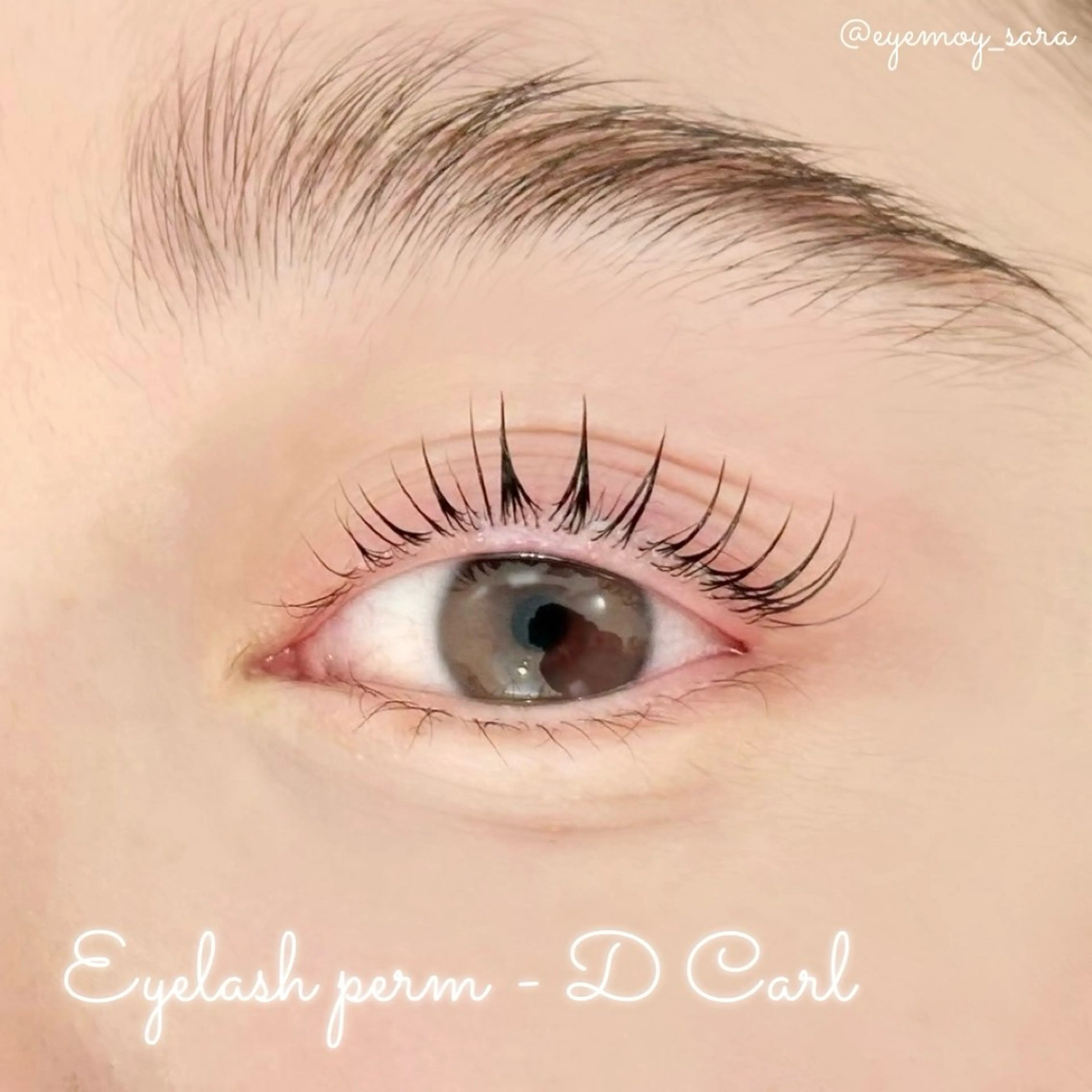 マツエク・マツパ ケラチンラッシュリフト 束感まつ毛 パリジェンヌラッシュリフト まつげパーマ 一重×まつ毛パーマ sara 🌙のマツエク・マツパデザイン