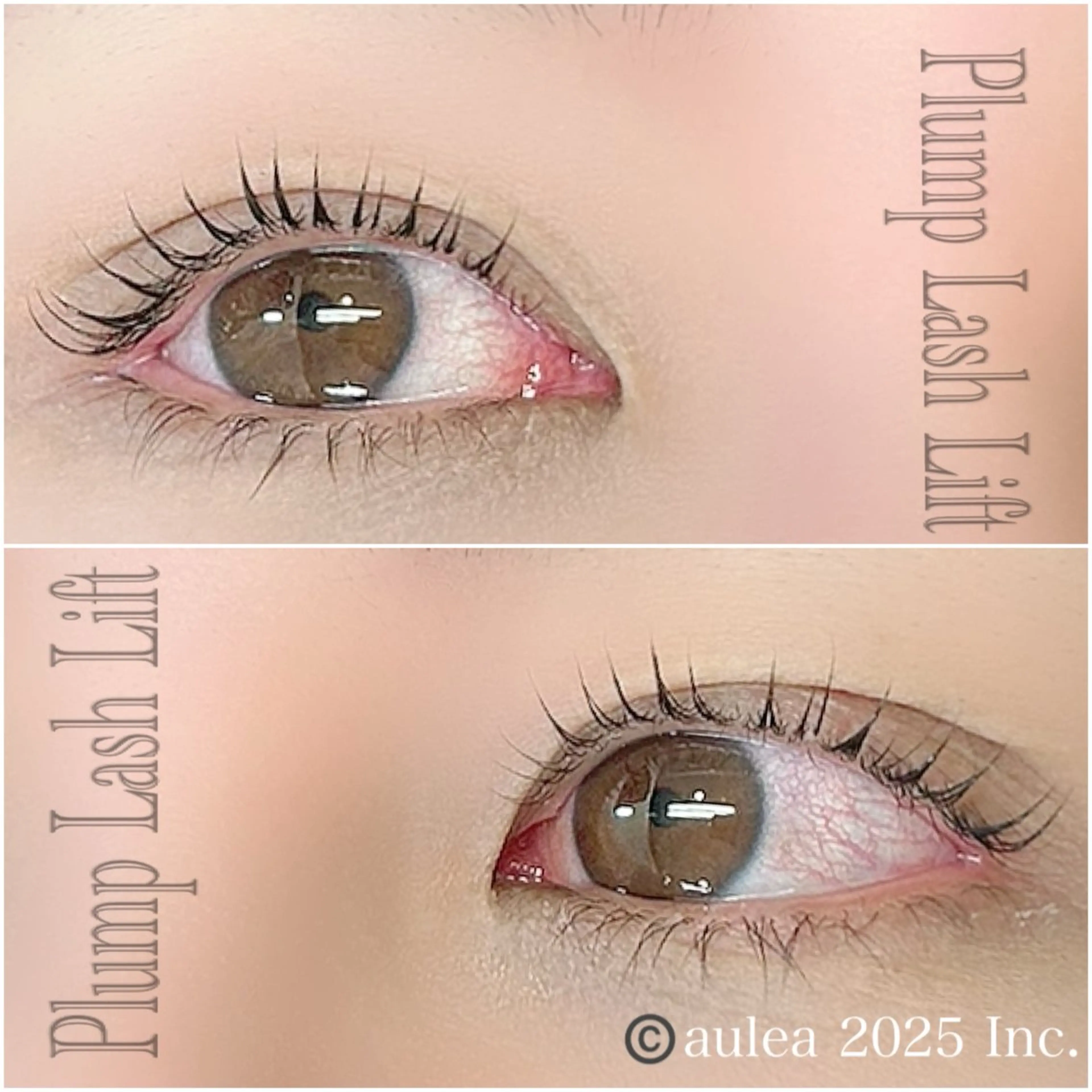 【特別クーポン🌼】プランプラッシュリフトの写真