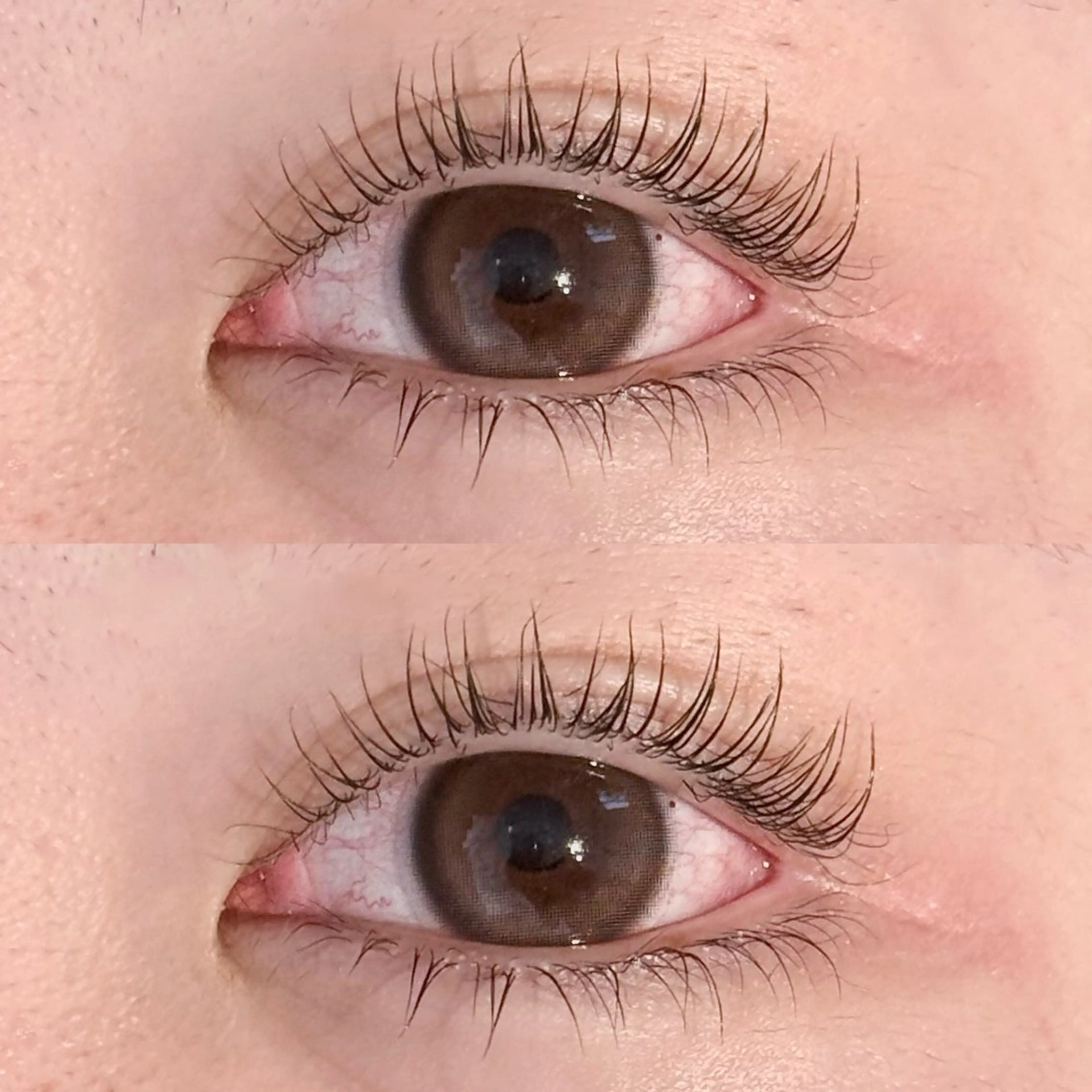 マツエク・マツパ プティット加古川所属・yuno /MADEMOREのマツエク・マツパデザイン