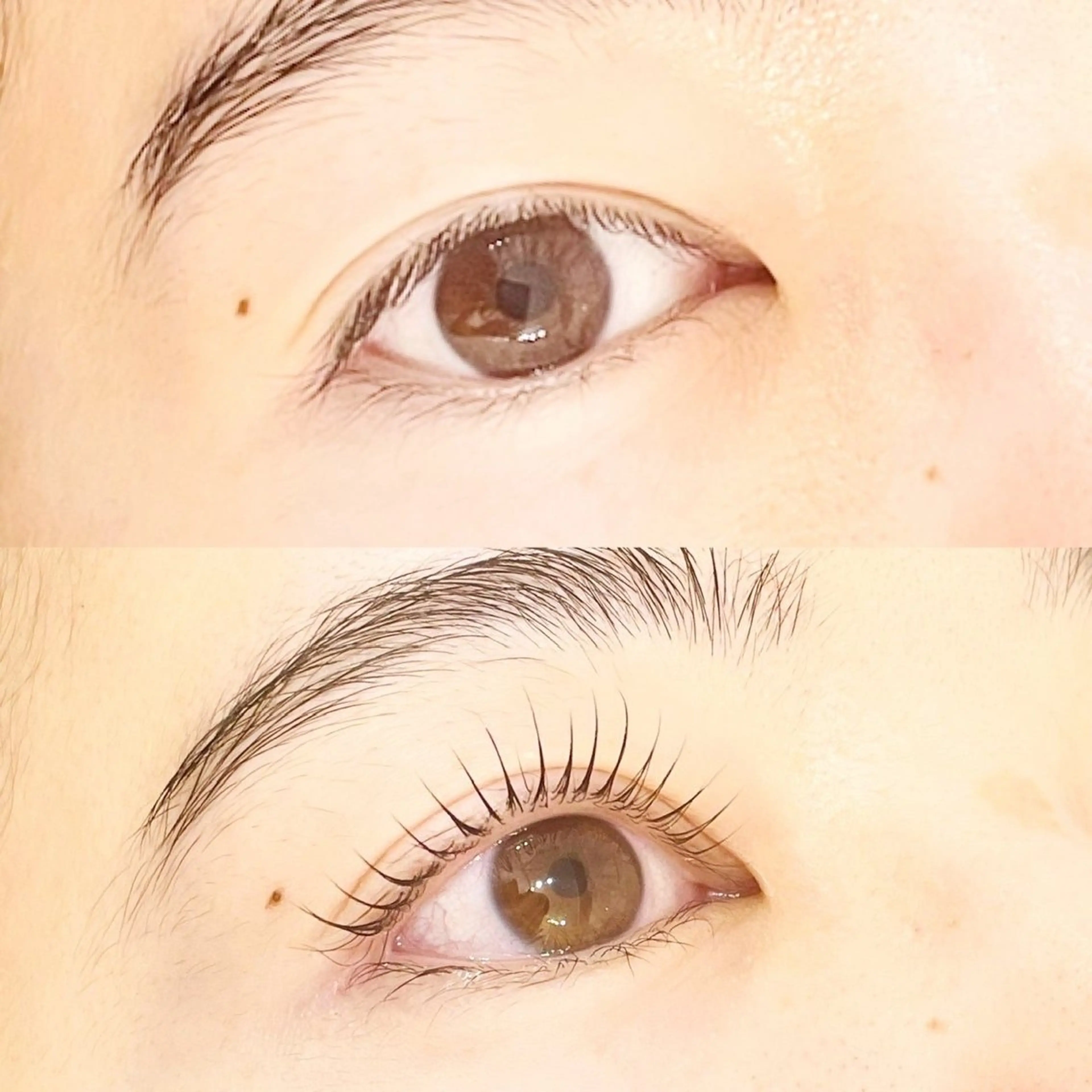 マツエク・マツパ 一重×まつ毛パーマ riho🩰ᩚ /まつパ・アイブロウのマツエク・マツパデザイン