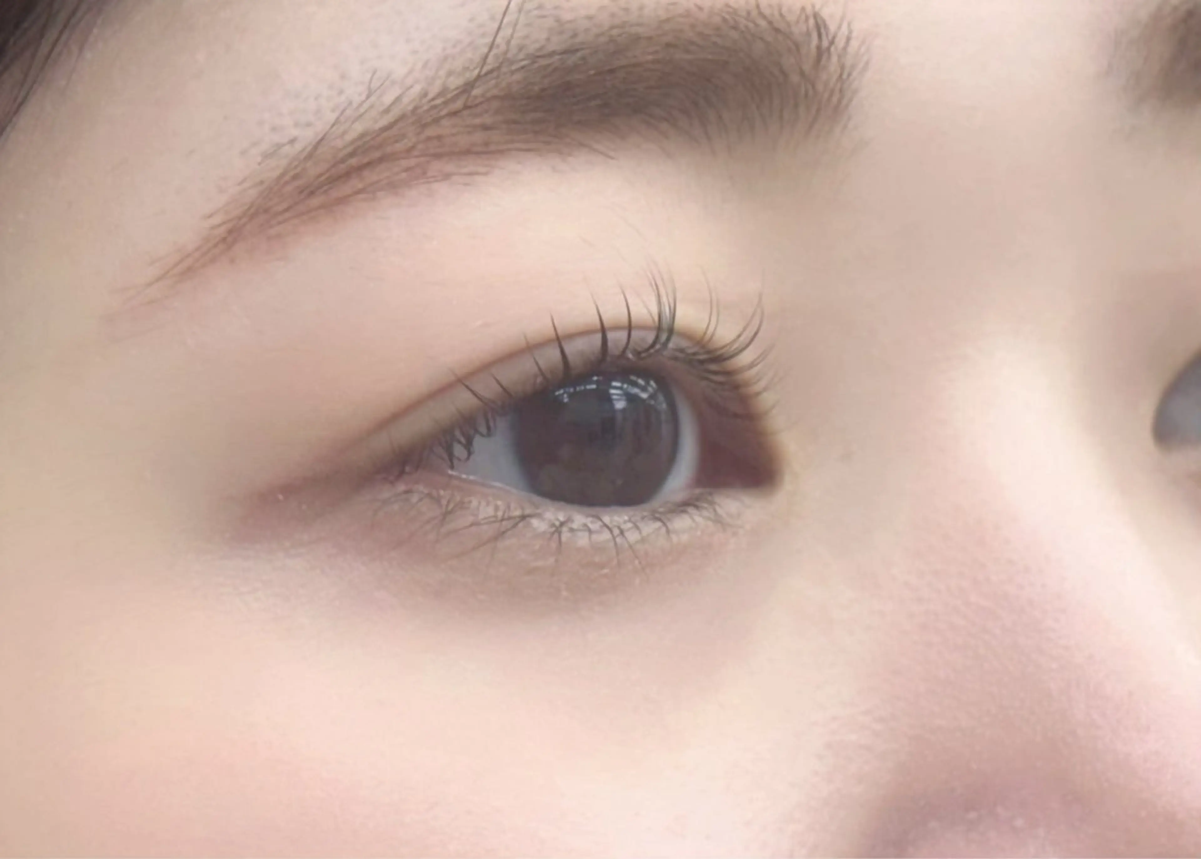 マツエク・マツパ まつげパーマ 亀戸/レイヤー/髪質 改善/sakura♪のマツエク・マツパデザイン