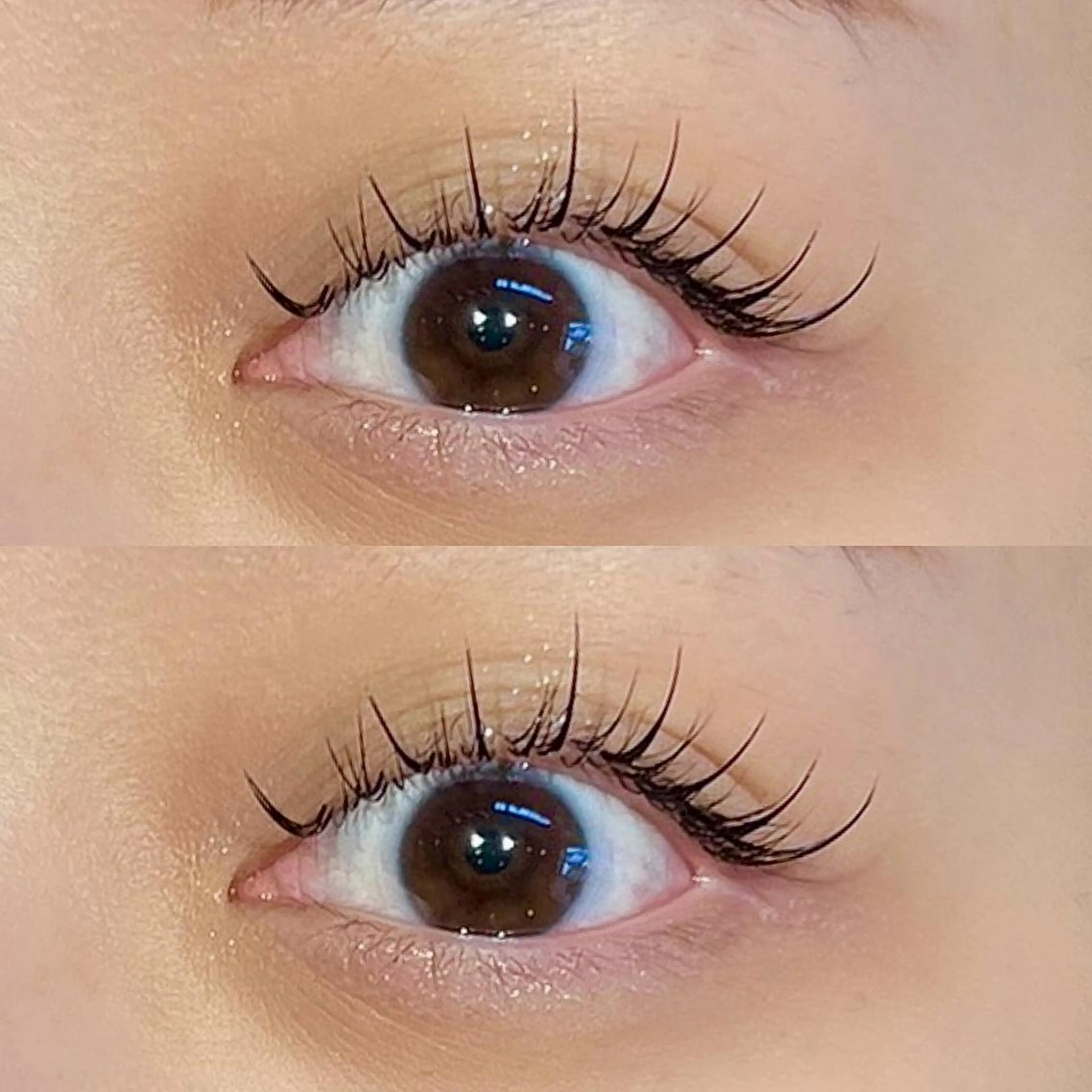 マツエク・マツパ 束感まつ毛 韓国風マツエク ワンホンマツエク LUCIA LASH/BROW所属・Lucia Lash Amaneのマツエク・マツパデザイン