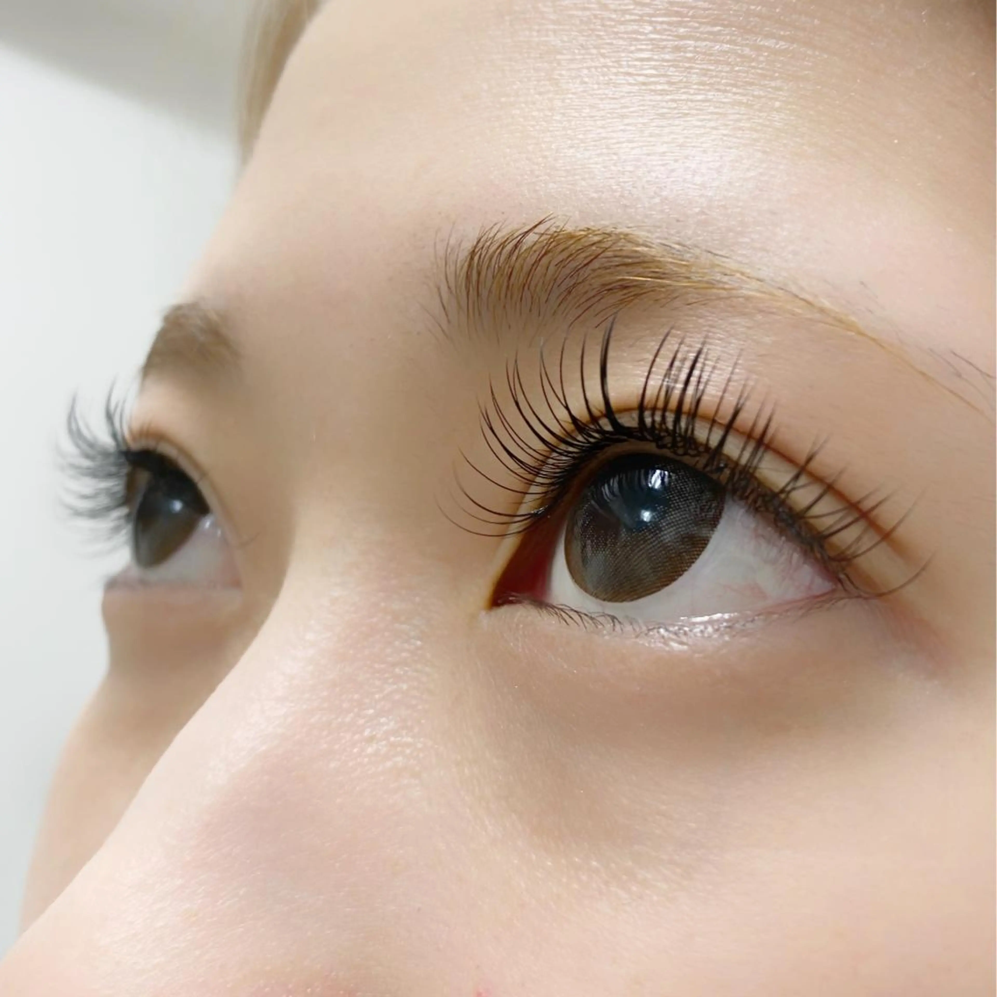 アップワードラッシュ☆フラットラッシュ100本(オフ込)の写真