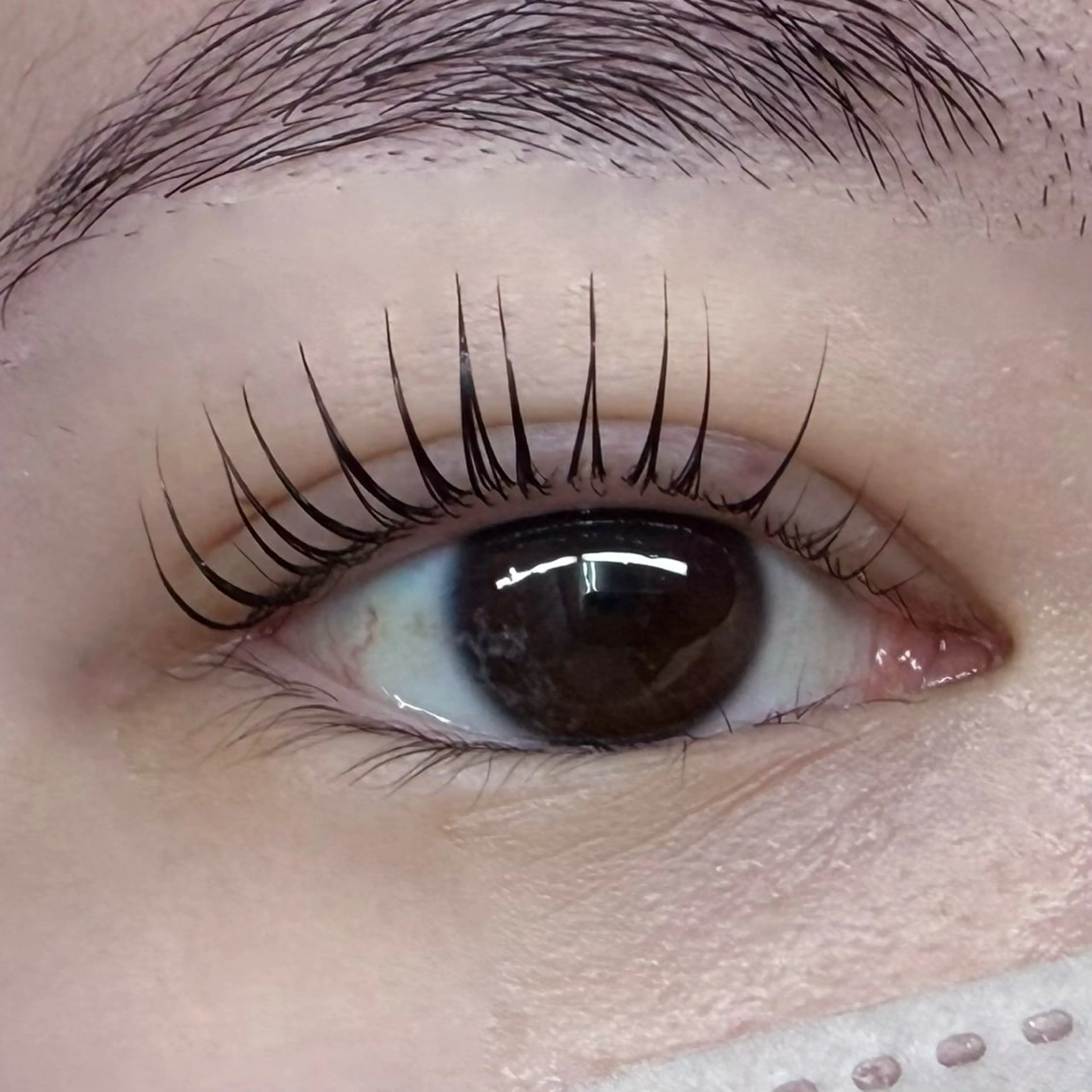 マツエク・マツパ マツパ Ciel シエルのマツエク・マツパデザイン