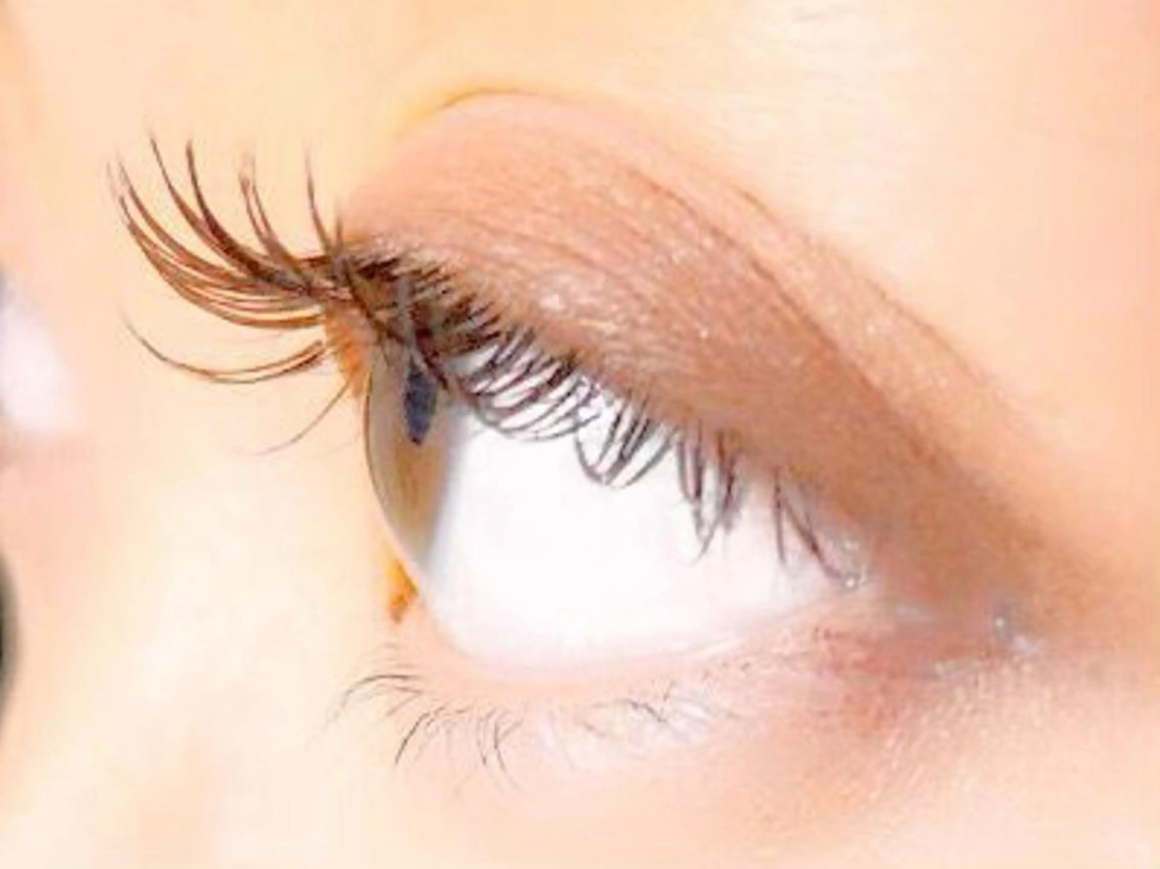 マツエク・マツパ カラーマツエク RAZZLE DAZZLEのマツエク・マツパデザイン