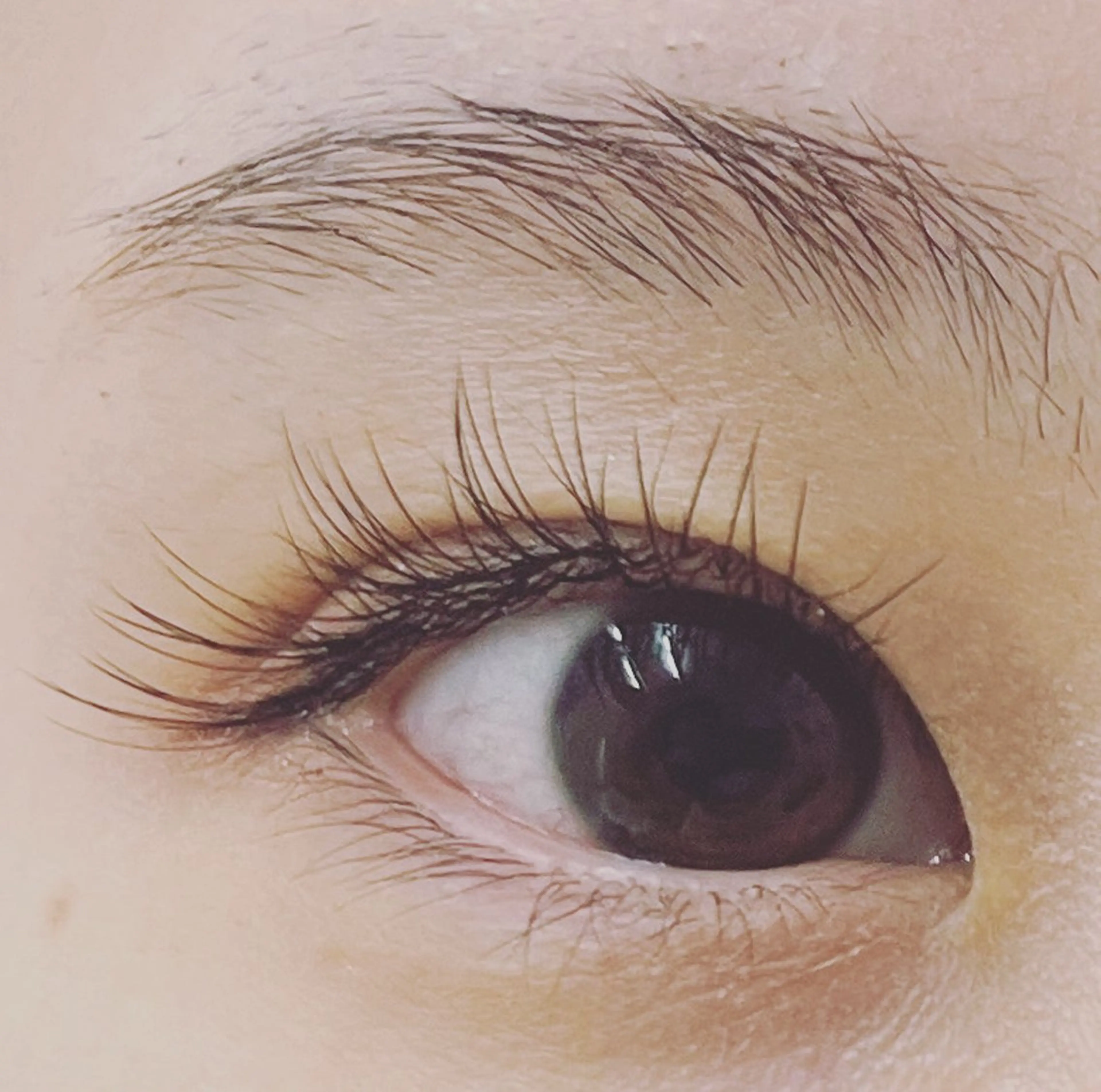 マツエク・マツパ フラットラッシュ eyelash salon 　CIEL所属・CIEL 瑞慶覧早香のマツエク・マツパデザイン