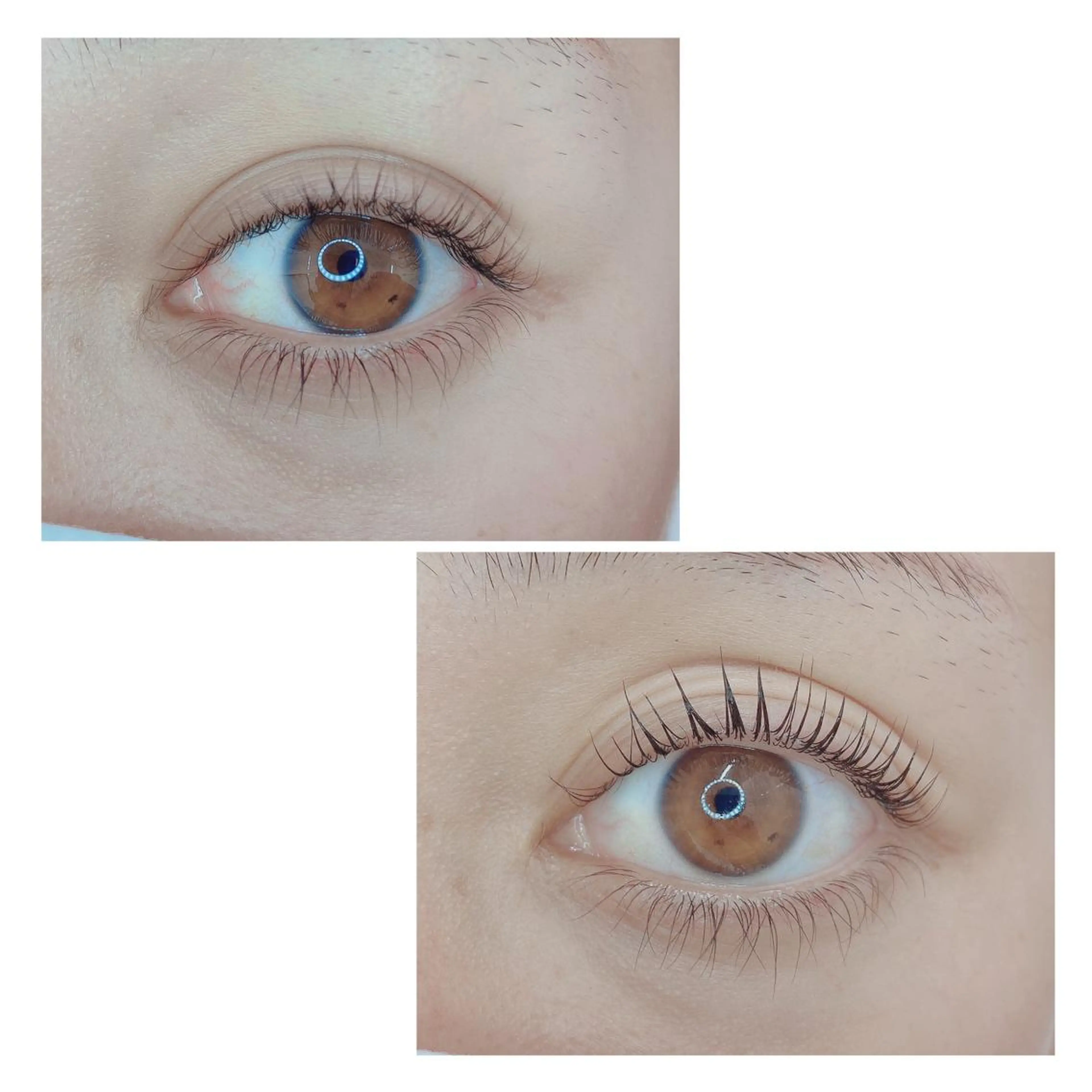 マツエク・マツパ TIARA池袋西口店 店長YASUKA💐のマツエク・マツパデザイン