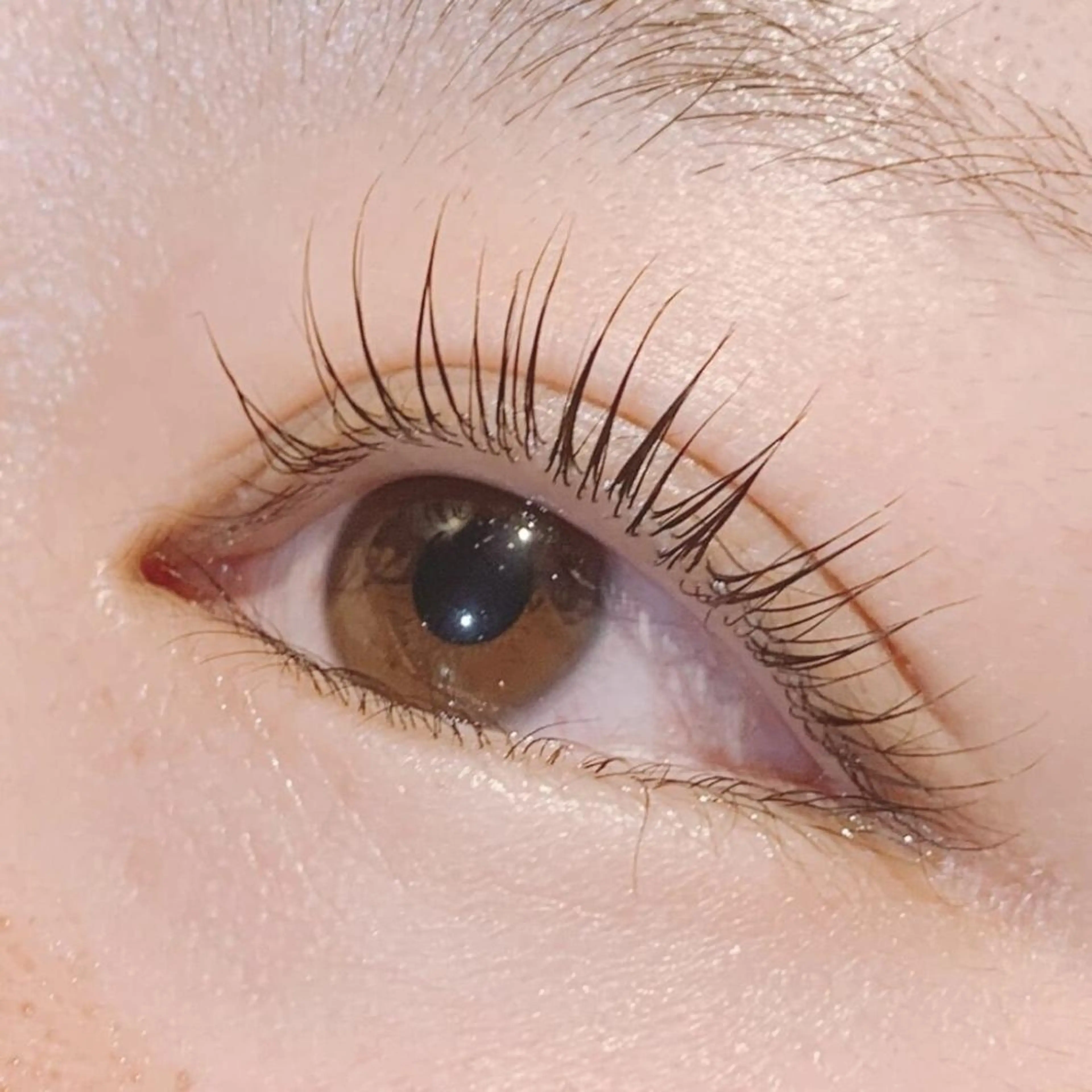 【人気No.1🌟】新規様限定💖パリジェンヌ　まつ毛パーマ　どんなデザインでもお任せください✨の写真