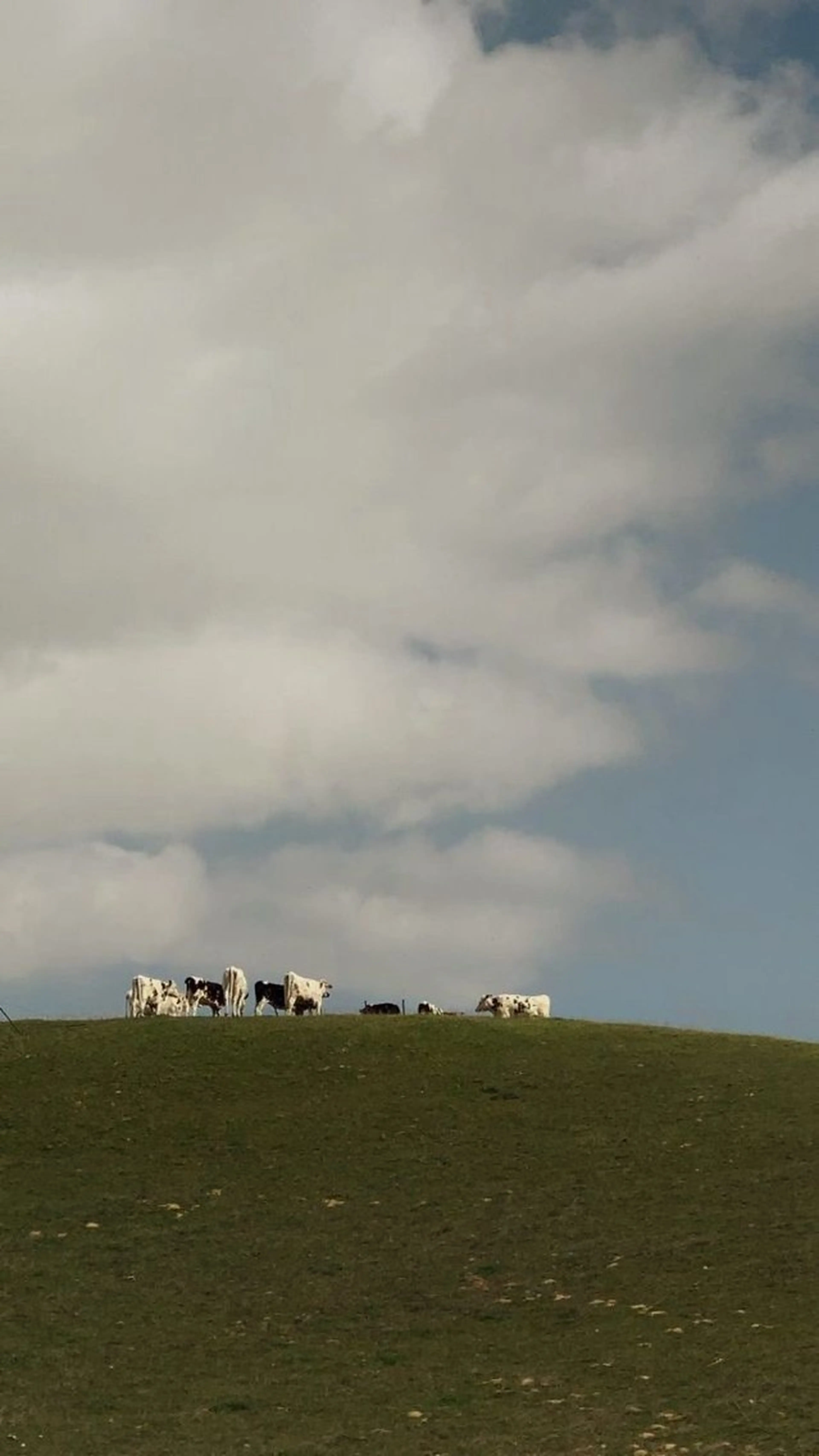 マツエク・マツパ No.3 前橋店所属・ひなの 🌼のマツエク・マツパデザイン