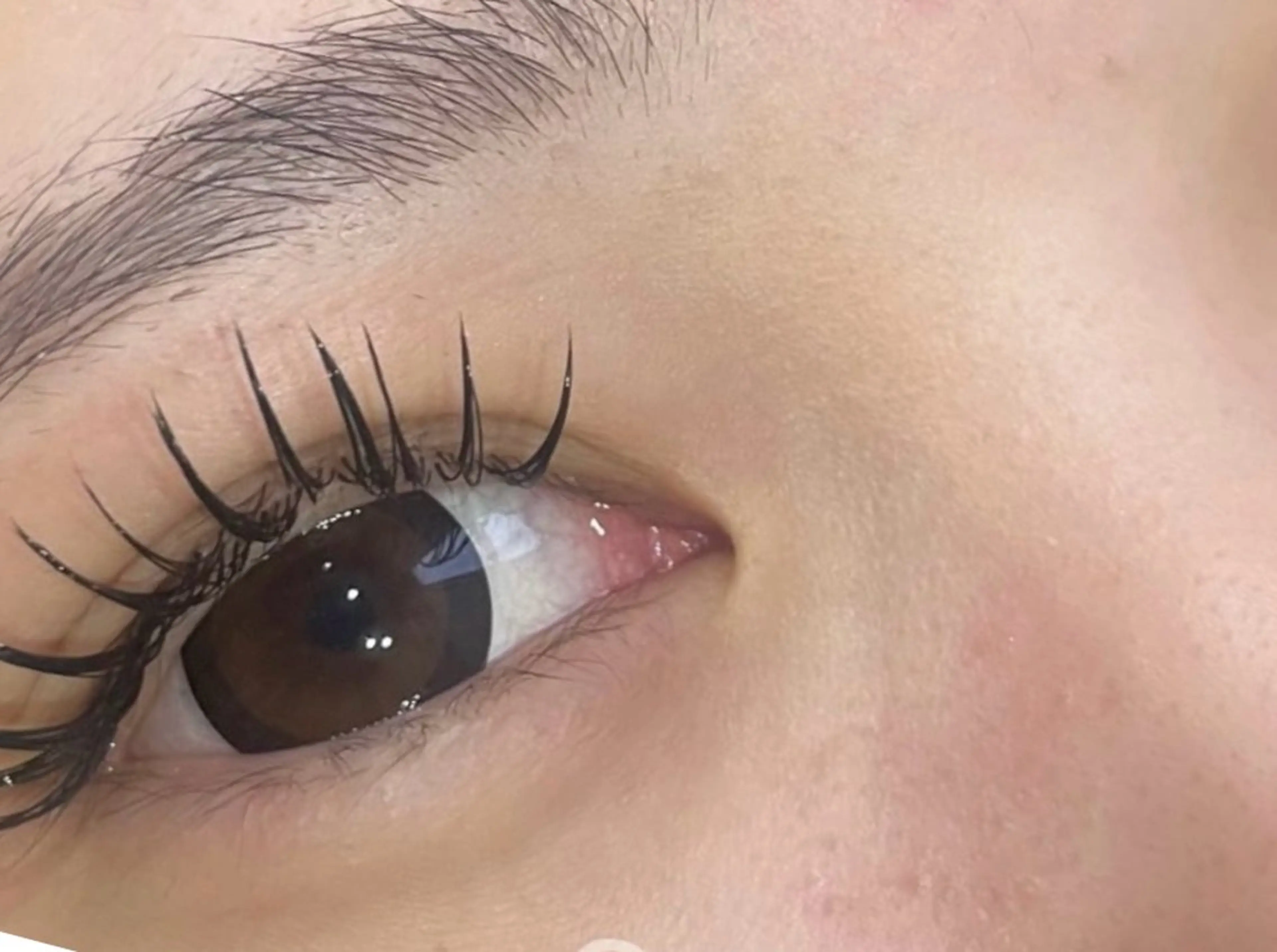 マツエク・マツパ T•S•C高安店所属・T.S.C 高安店のマツエク・マツパデザイン