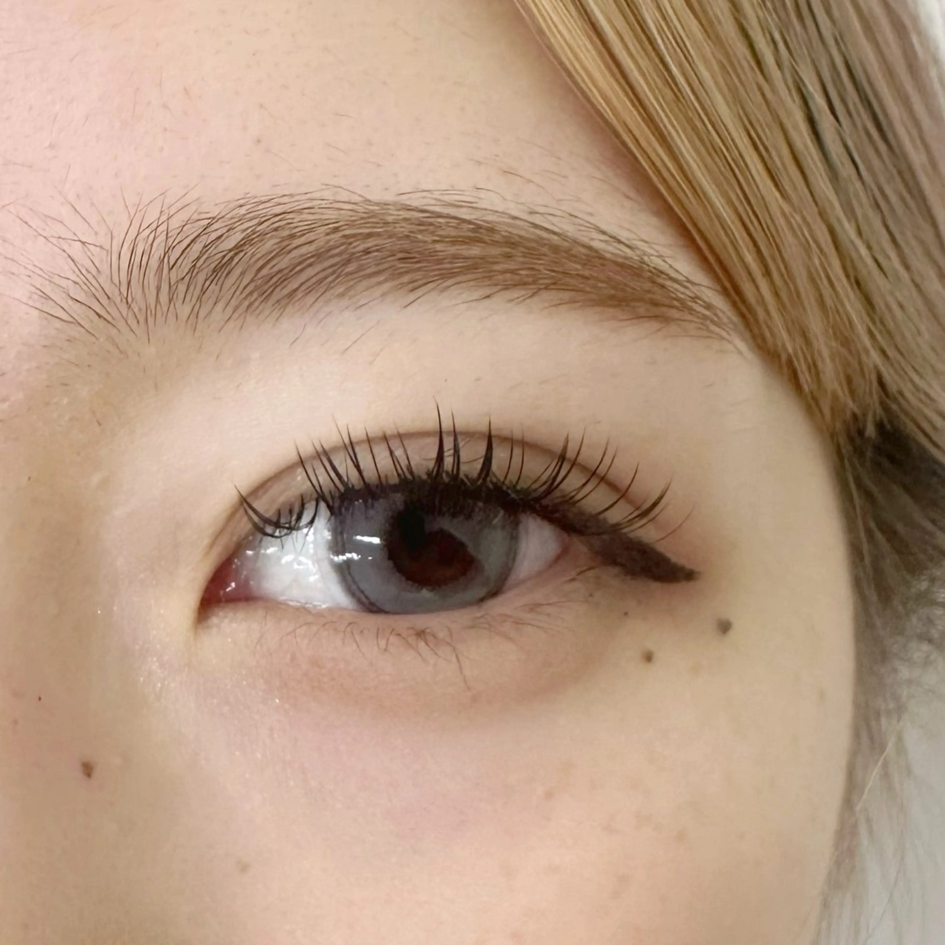 マツエク・マツパ フラットラッシュ utari matsuge所属・utari matsugeのマツエク・マツパデザイン