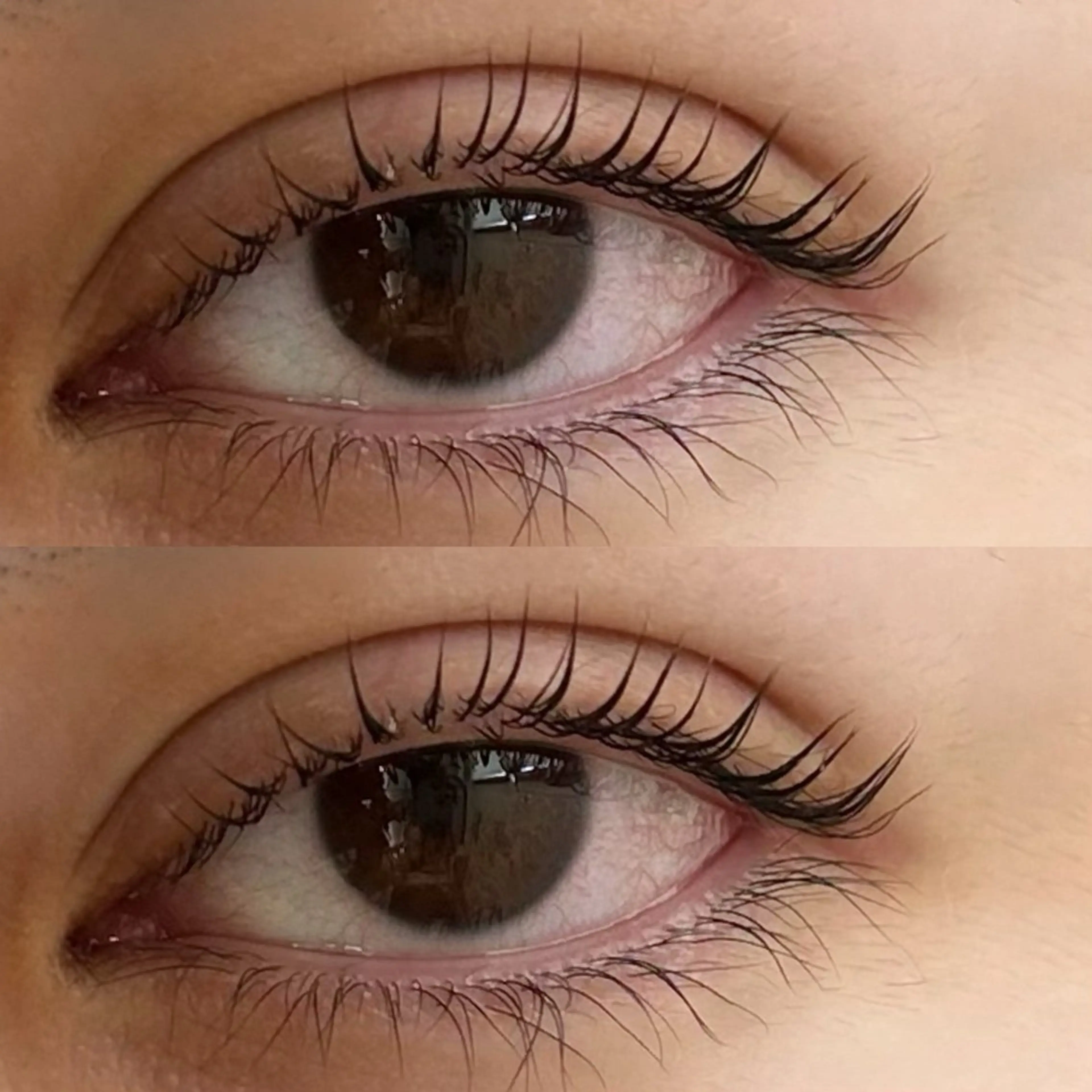 マツエク・マツパ マツパ まつエク/まつパ /カラー/Misaのヘアスタイル