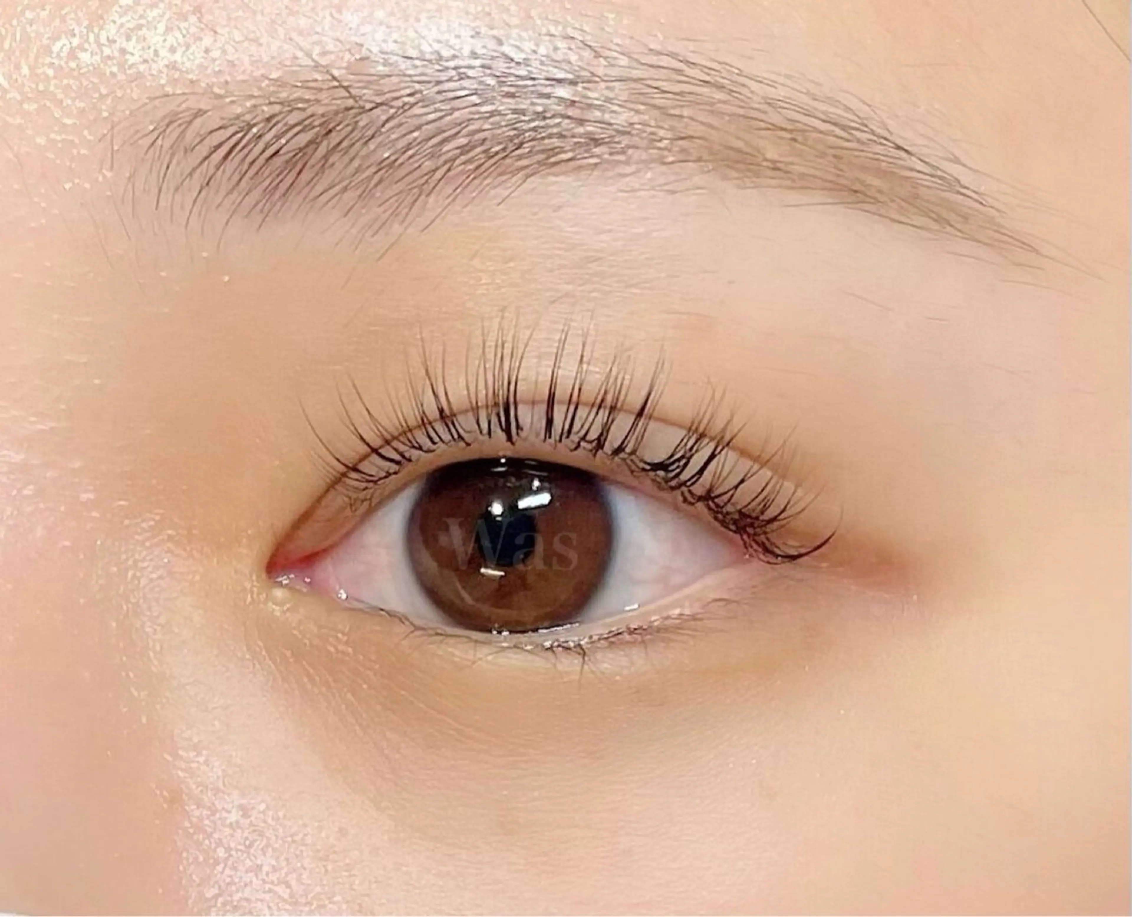 マツエク・マツパ 一重×まつ毛パーマ Was -TSUKUBA-所属・☆ Azuのマツエク・マツパデザイン