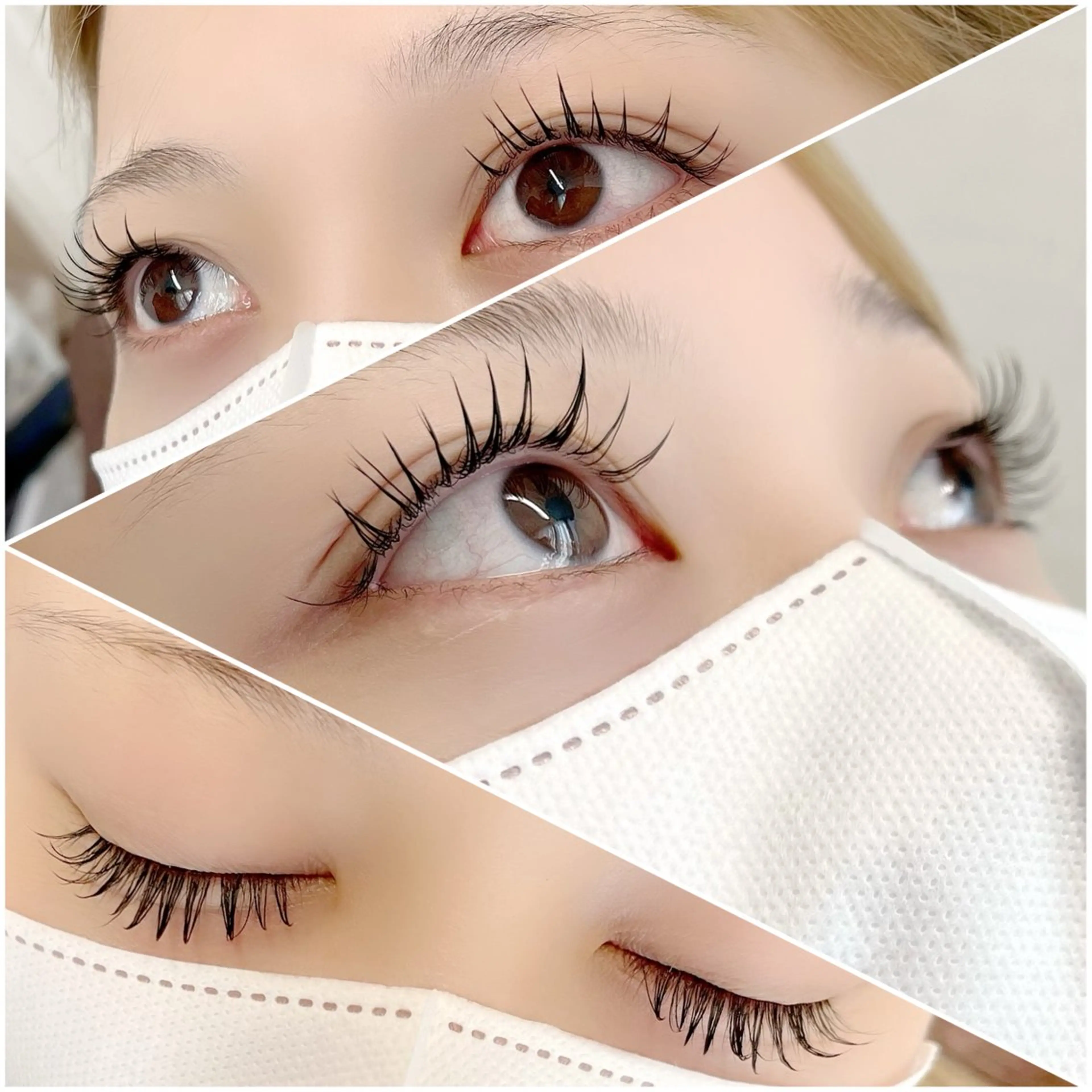 【特別クーポン🌼】フラットラッシュ100本の写真