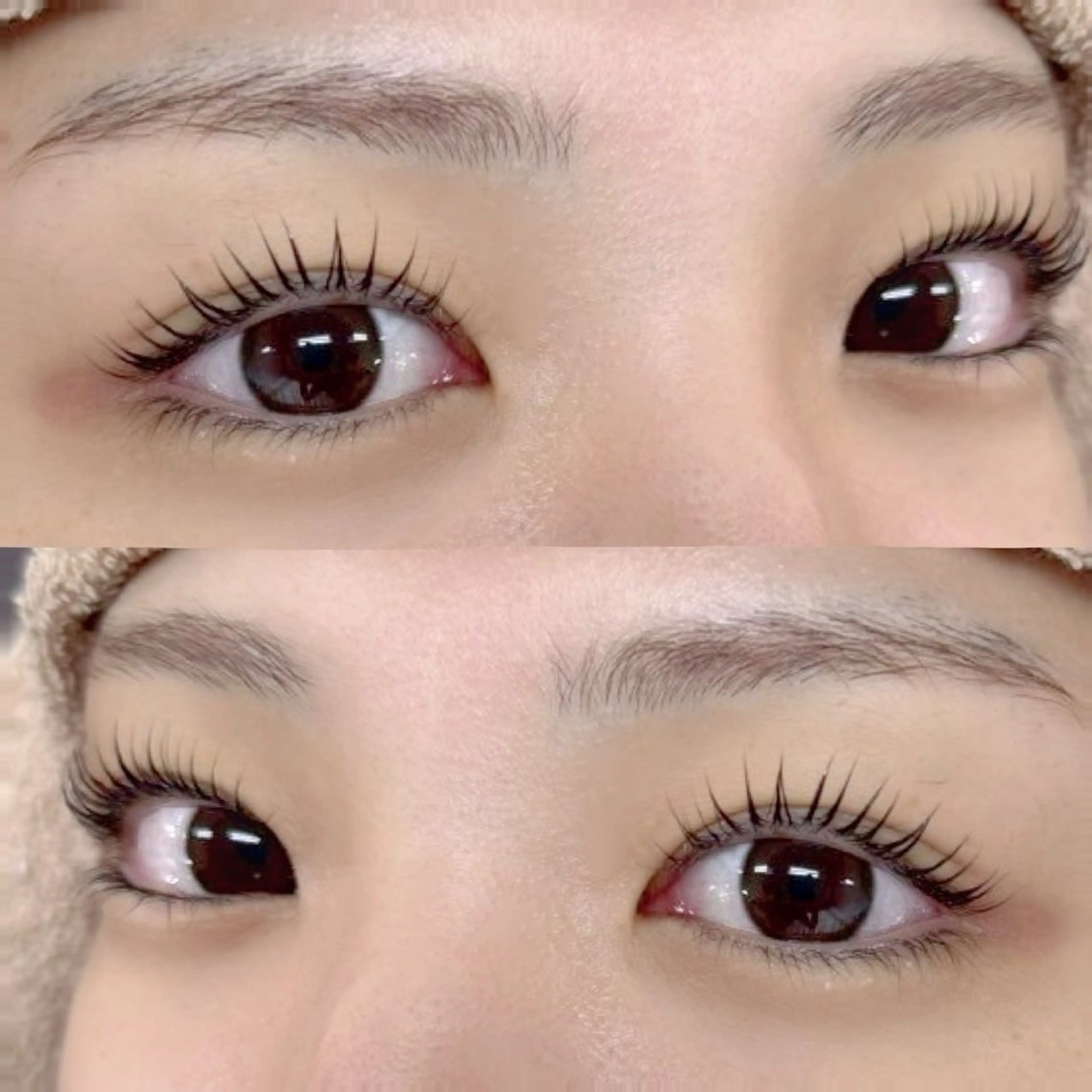 🎀平日限定🎀まつ毛パーマ🫧✨️の写真