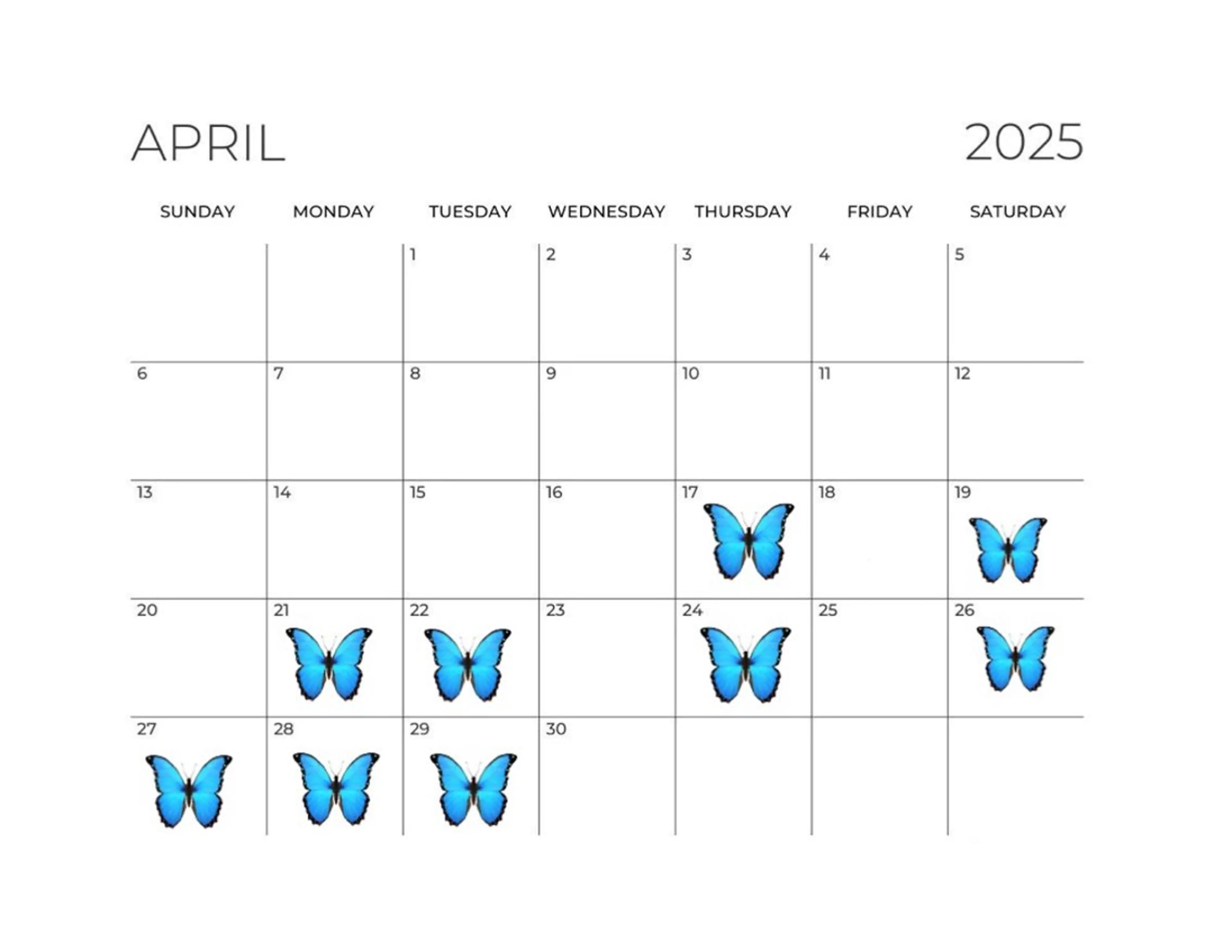 🪸KARERA新松 戸田中萌恵子🪸のヘアスタイル