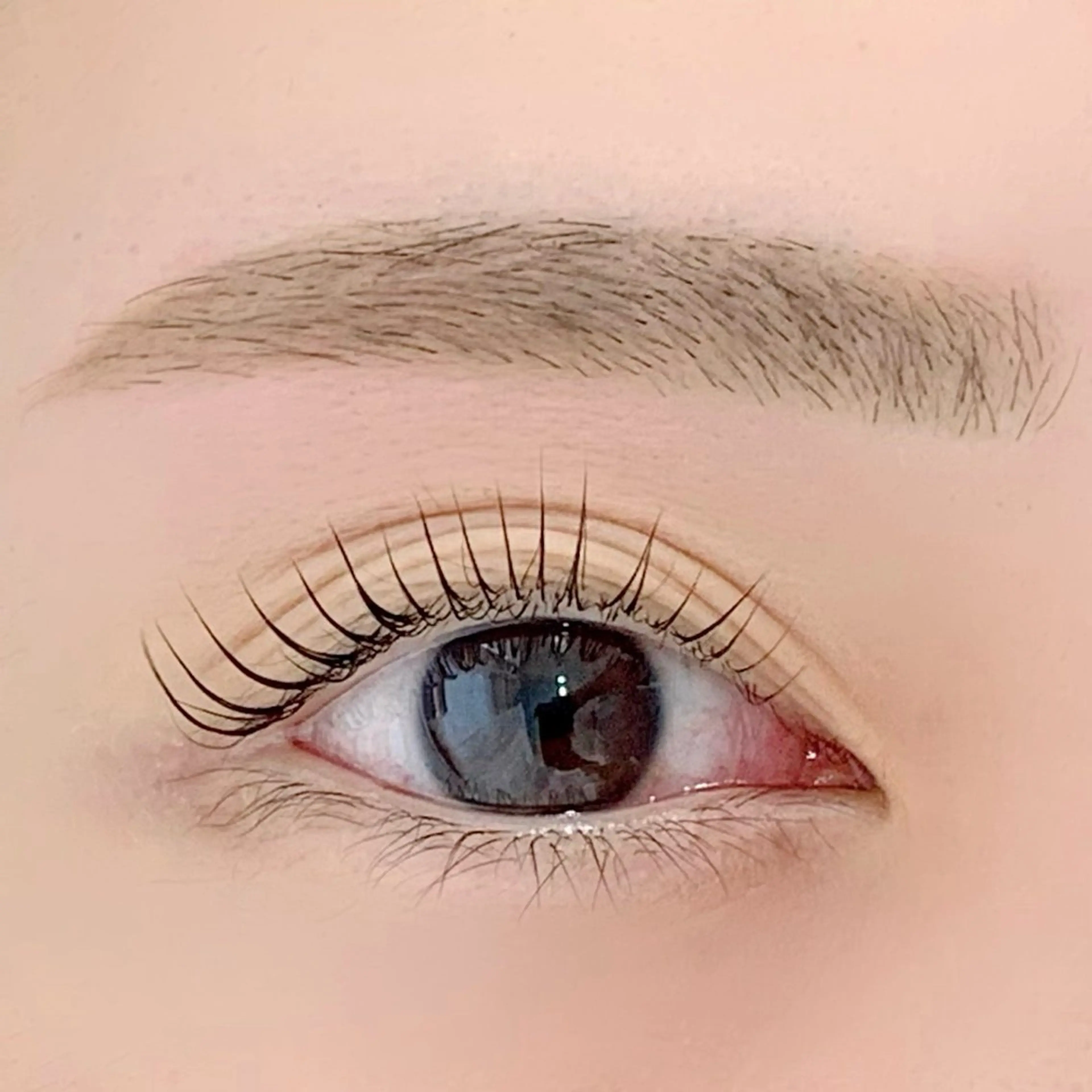 マツエク・マツパ ケラチンラッシュリフト ブラウンラッシュ カラーマツエク Jカール ナチュラル BellFlower Aki（眉・まつげ）のマツエク・マツパデザイン