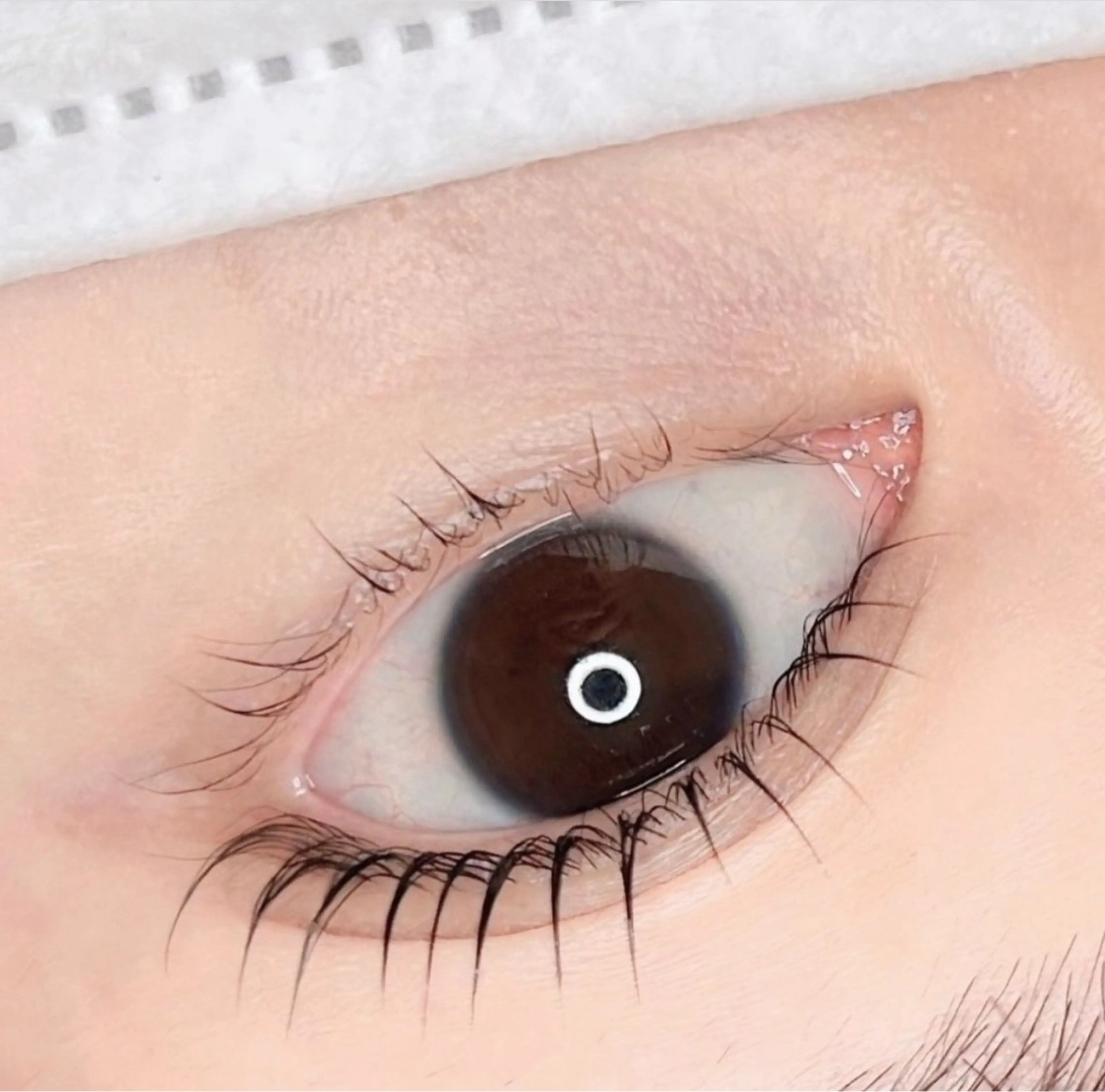 マツエク・マツパ Lowen 野原の眉毛・アイブロウイメージ