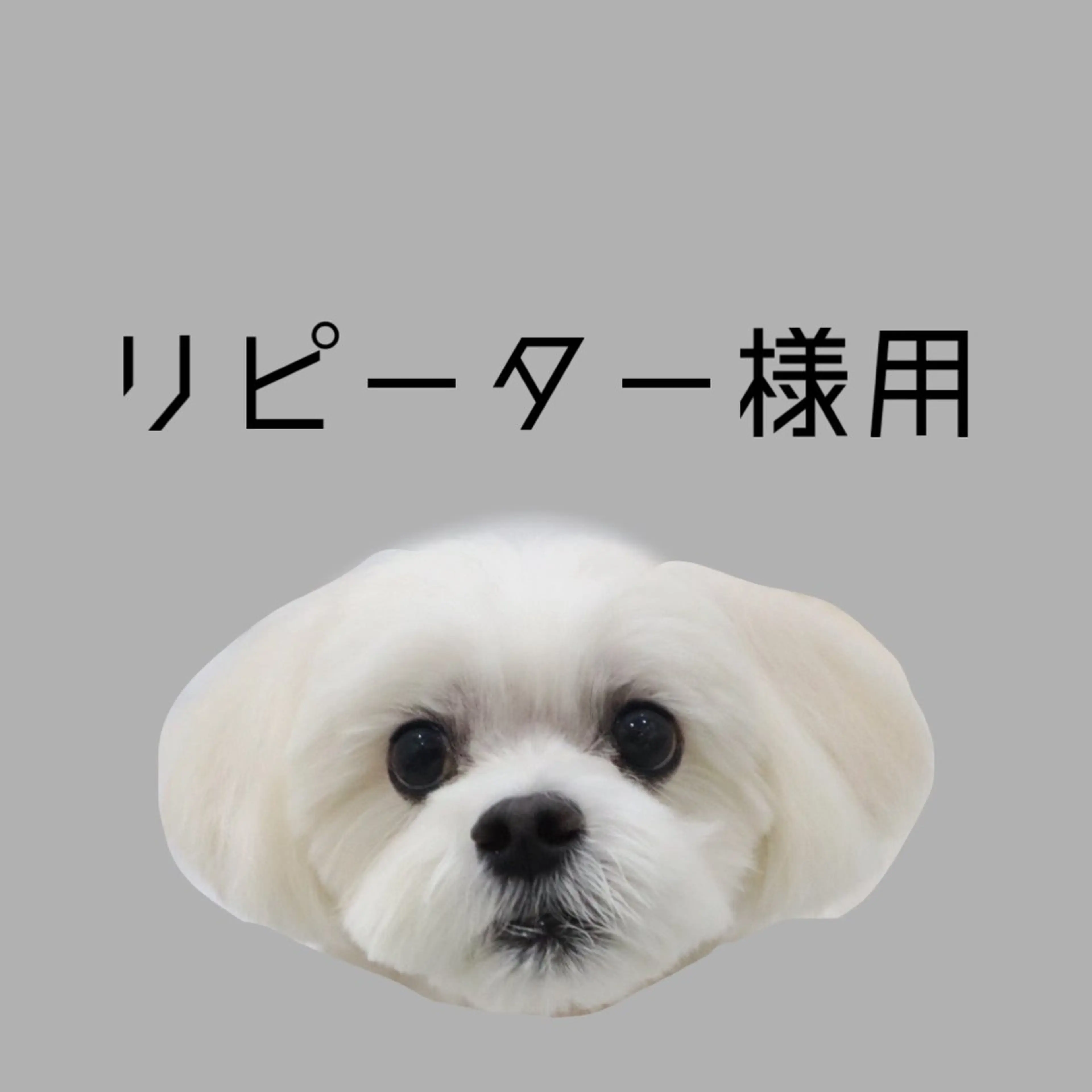 🌸リピーター様はこちらから🌸の写真