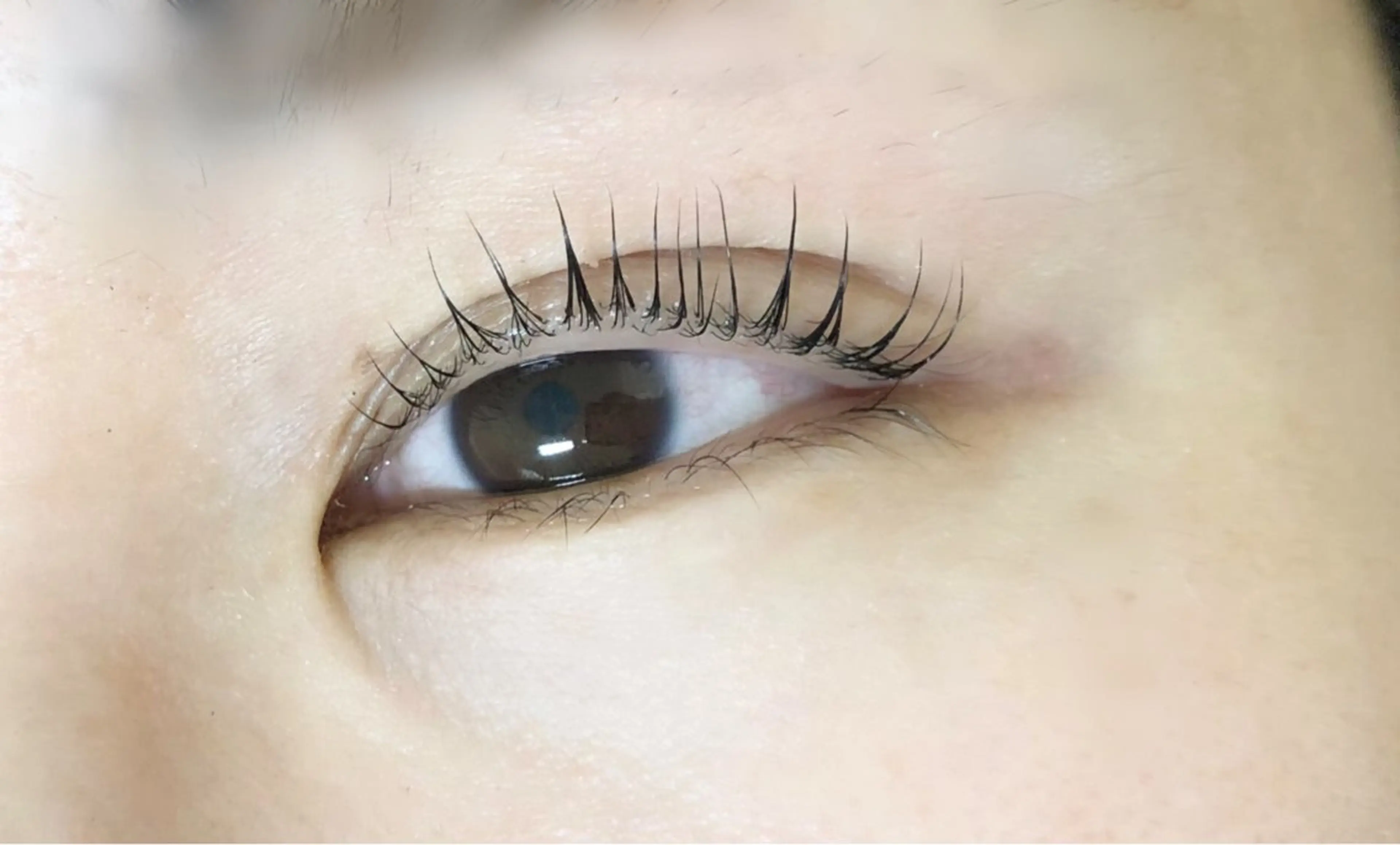 マツエク・マツパ Matsumoto Rikaのマツエク・マツパデザイン