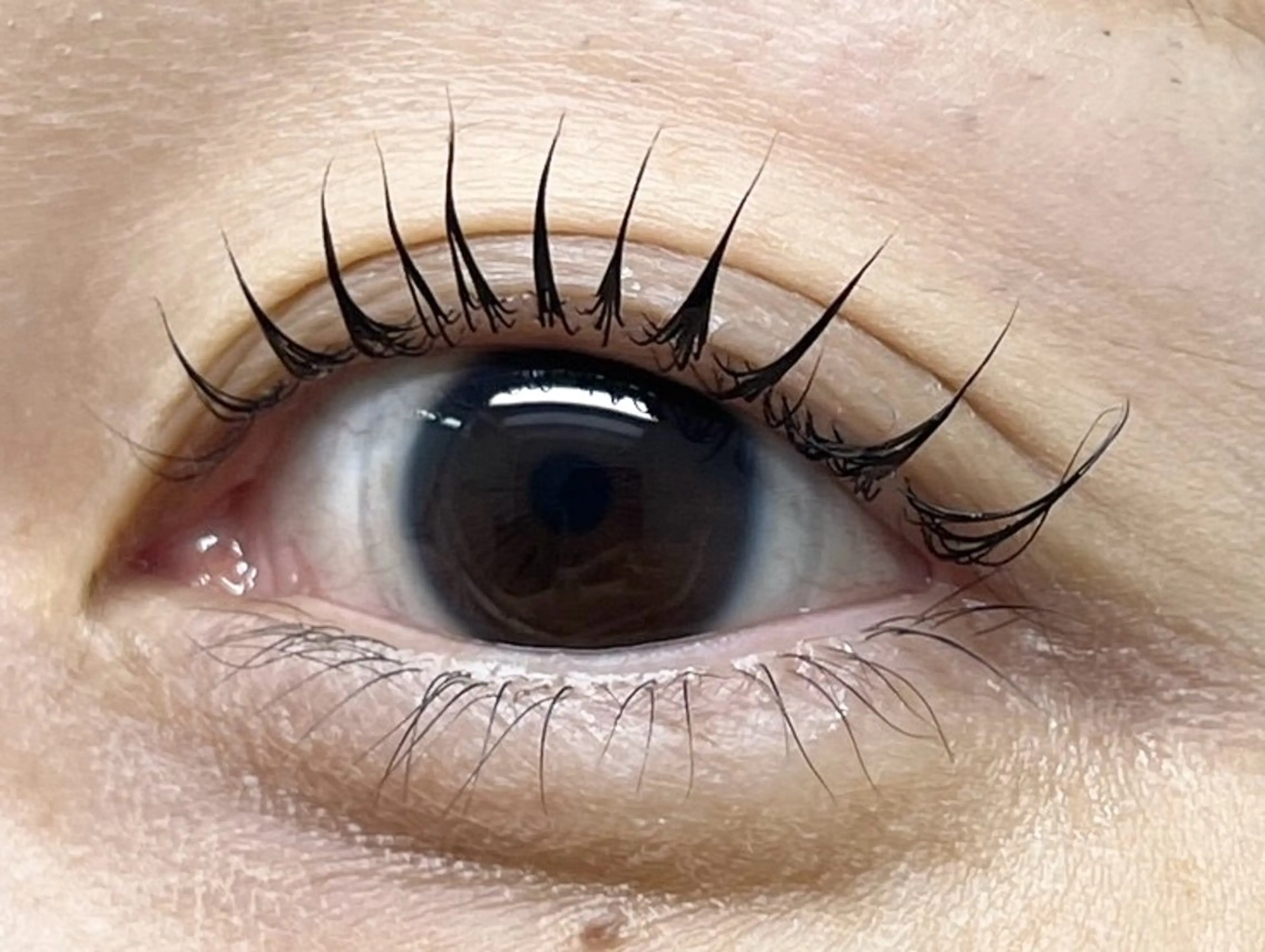 マツエク・マツパ glitter 京橋駅徒歩 1分のその他イメージ