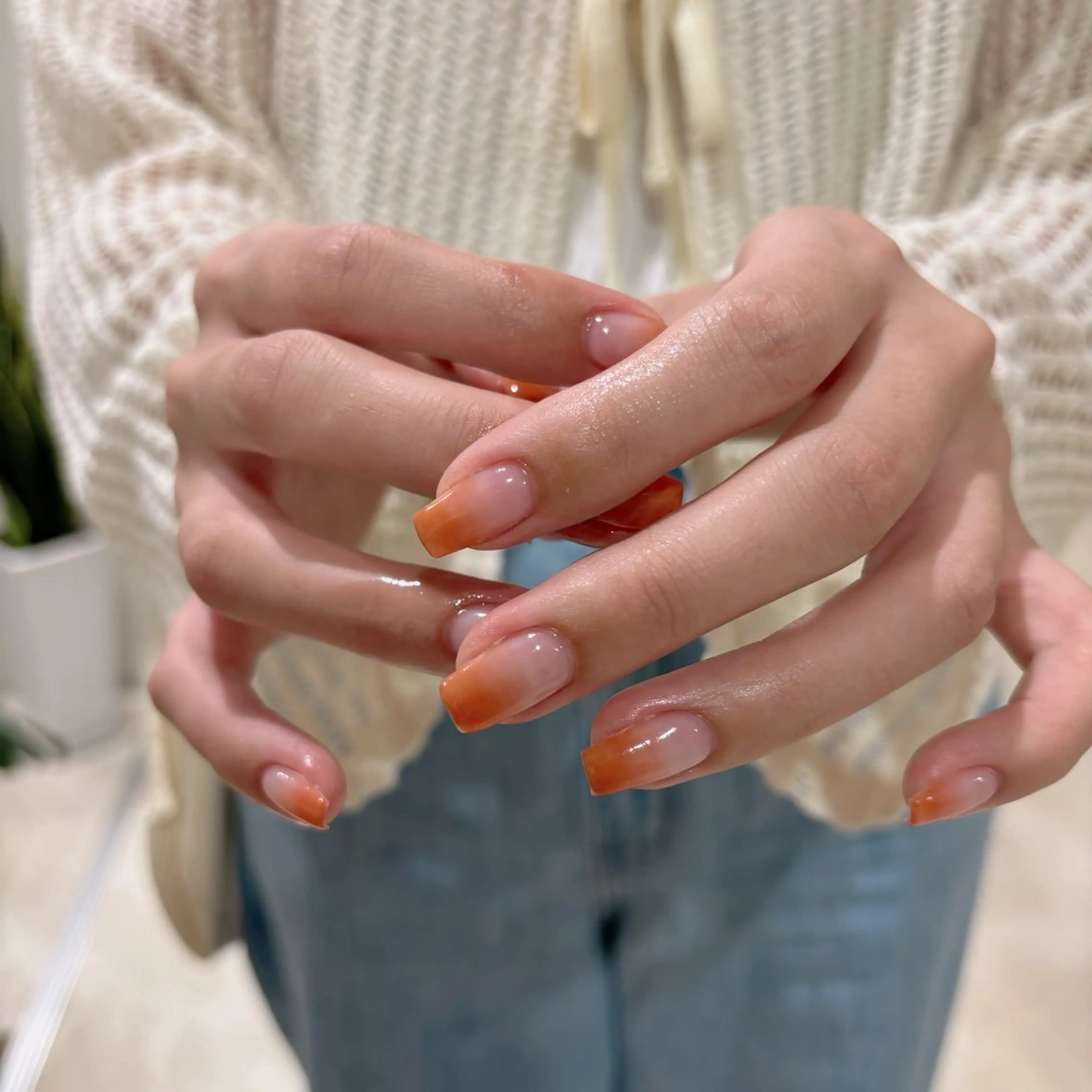 【オフなし】グラデーションの写真