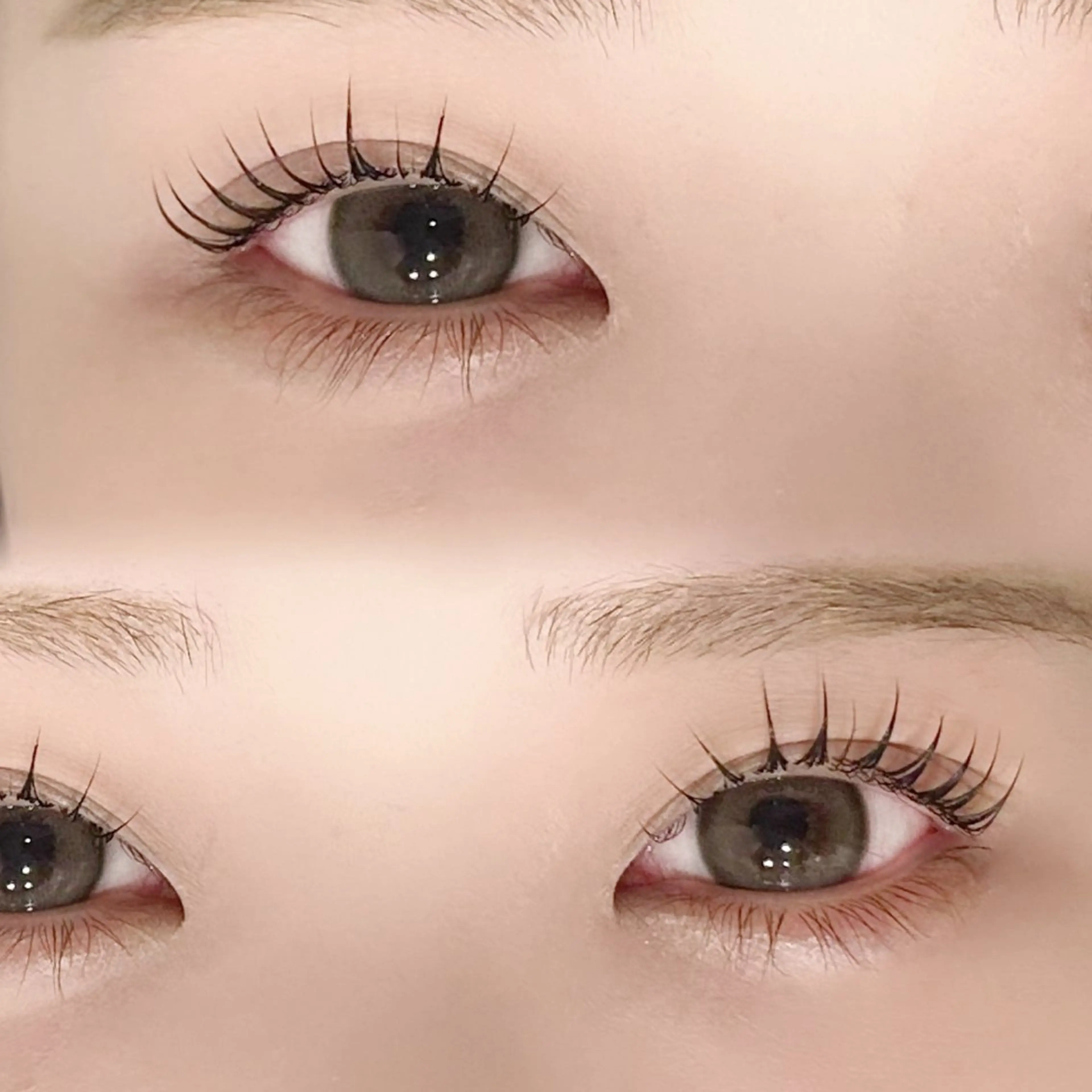 ✧*。パリジェンヌラッシュリフト ￥6600▷￥4480 (minimo限定)の写真