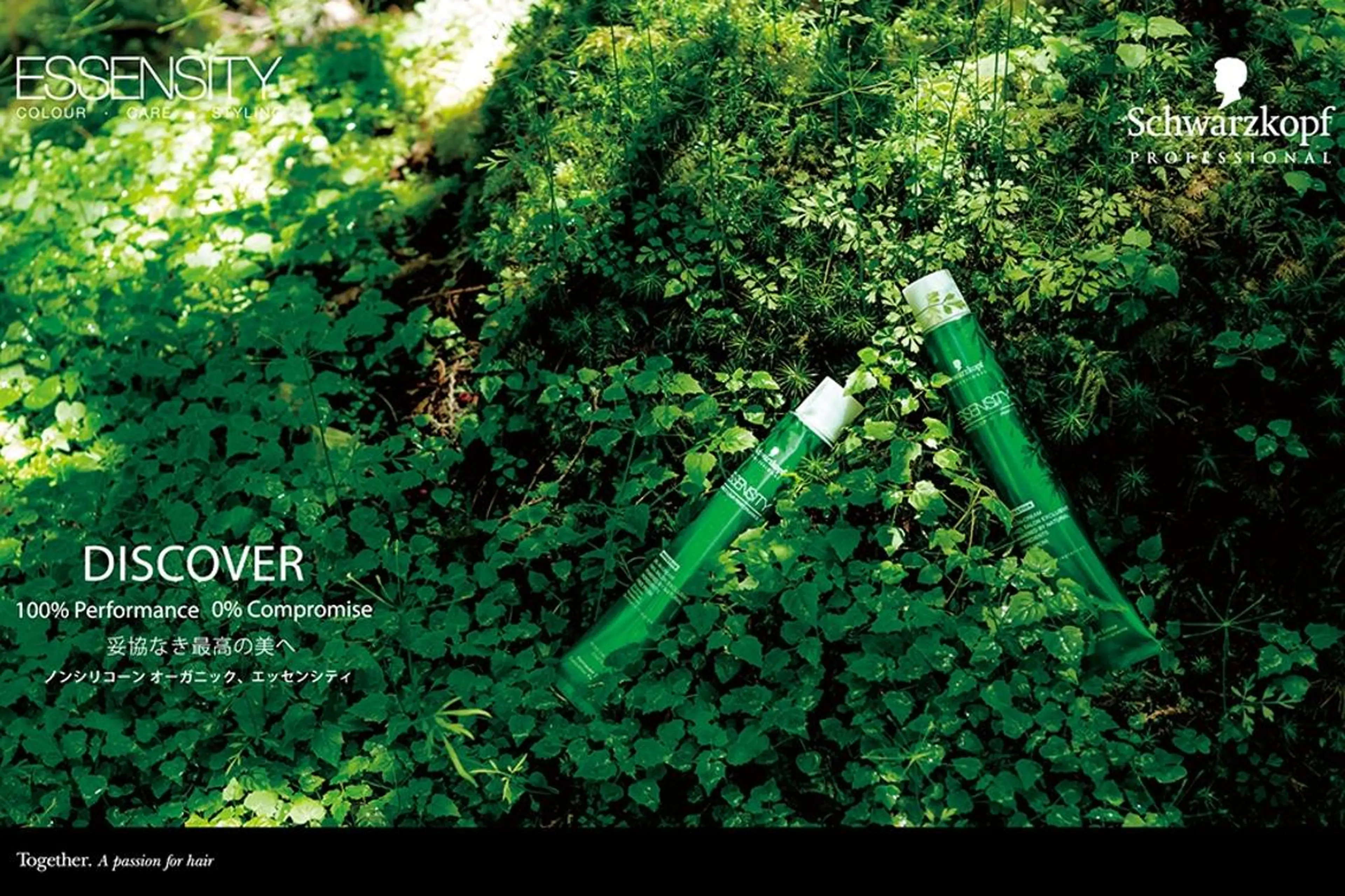 🌈オーガニックカラー+炭酸スパ（カット無し）の写真