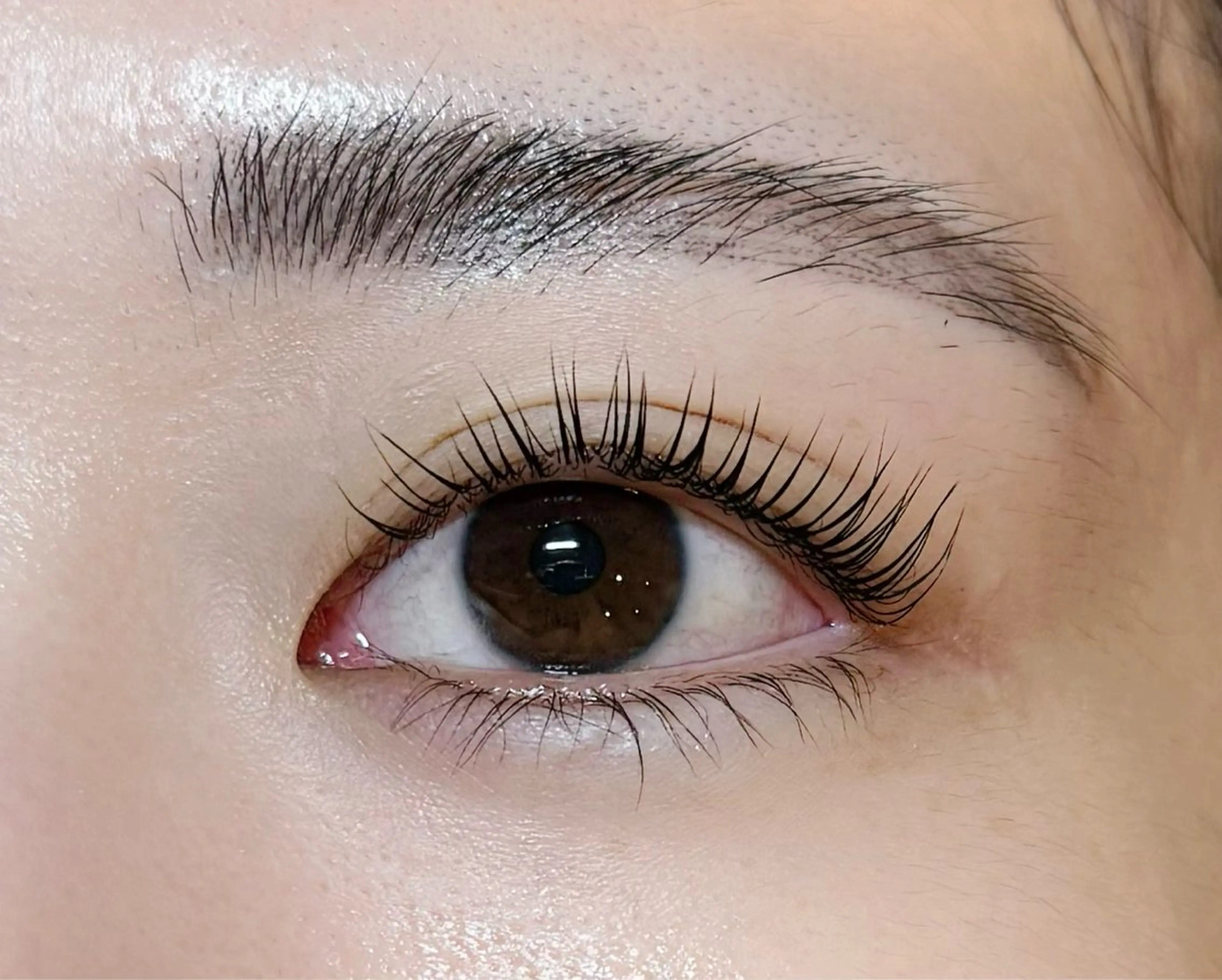 マツエク・マツパ マツパ lash & brow PORTE269所属・PORTE269🦋 Maika.のマツエク・マツパデザイン