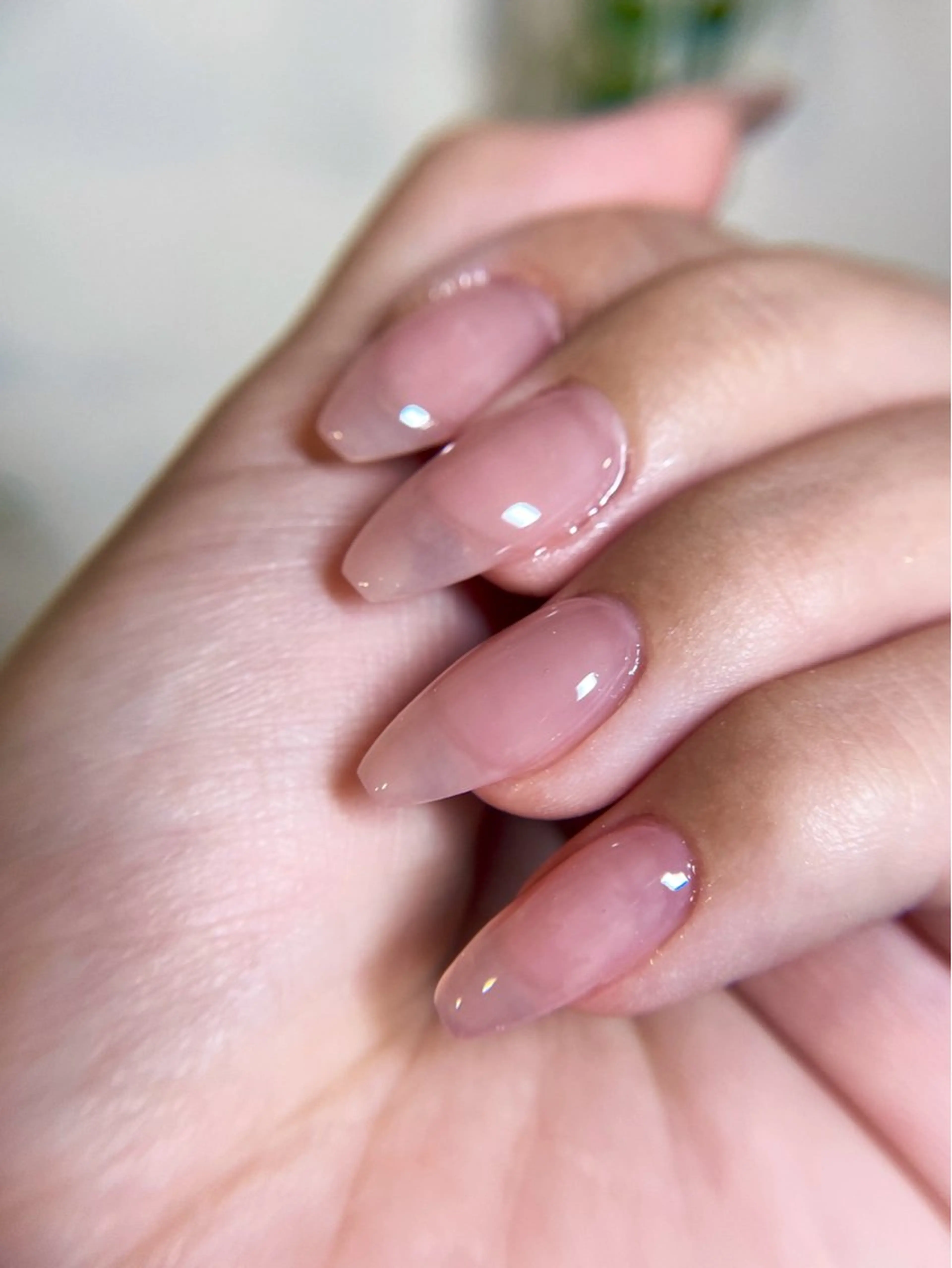 ネイル PRIMO🐈🌱 マツパ/黒ティントのマツエク・マツパデザイン