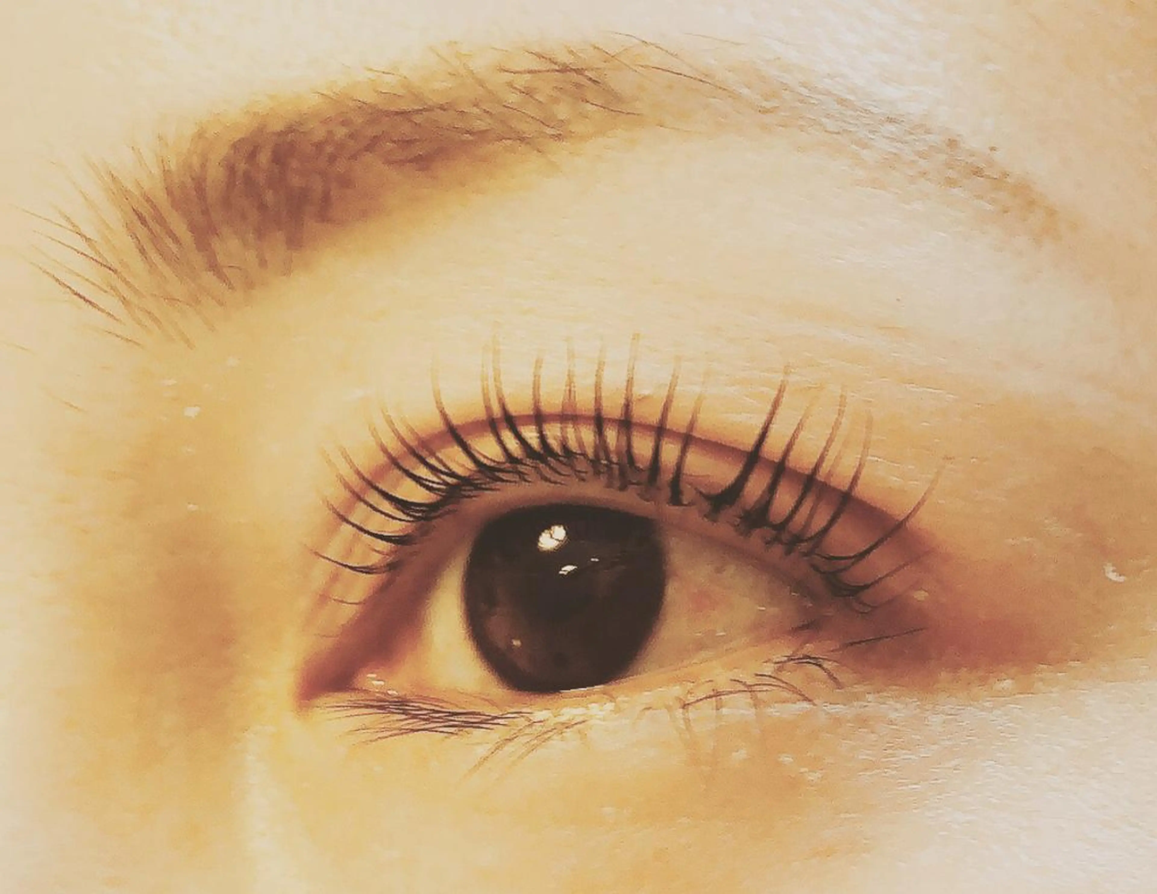 マツエク・マツパ パリジェンヌラッシュリフト プライベートサロン ココルのマツエク・マツパデザイン