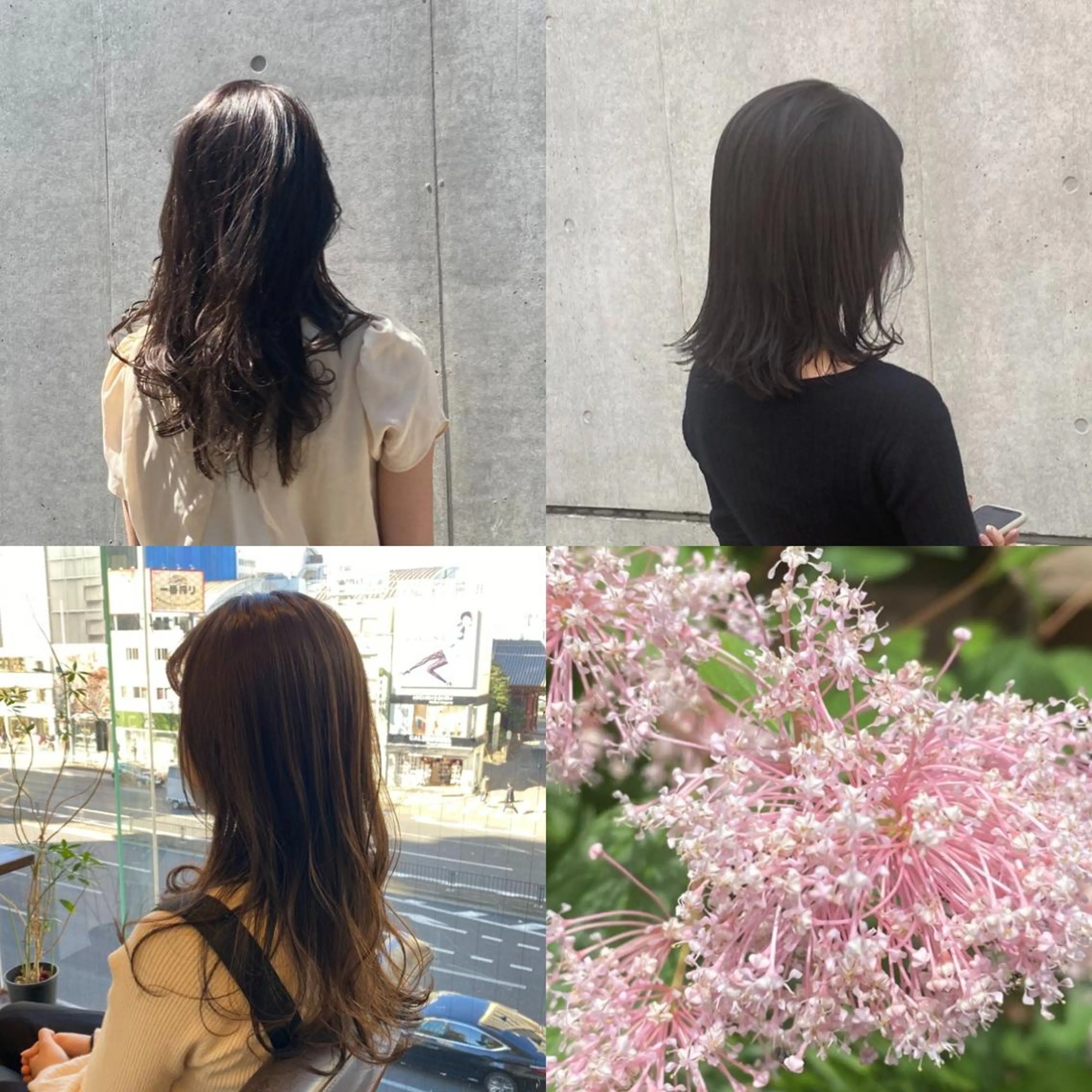 LOTUS表参道所属・【代表】 🌟MASA🌟美髪のヘアスタイル