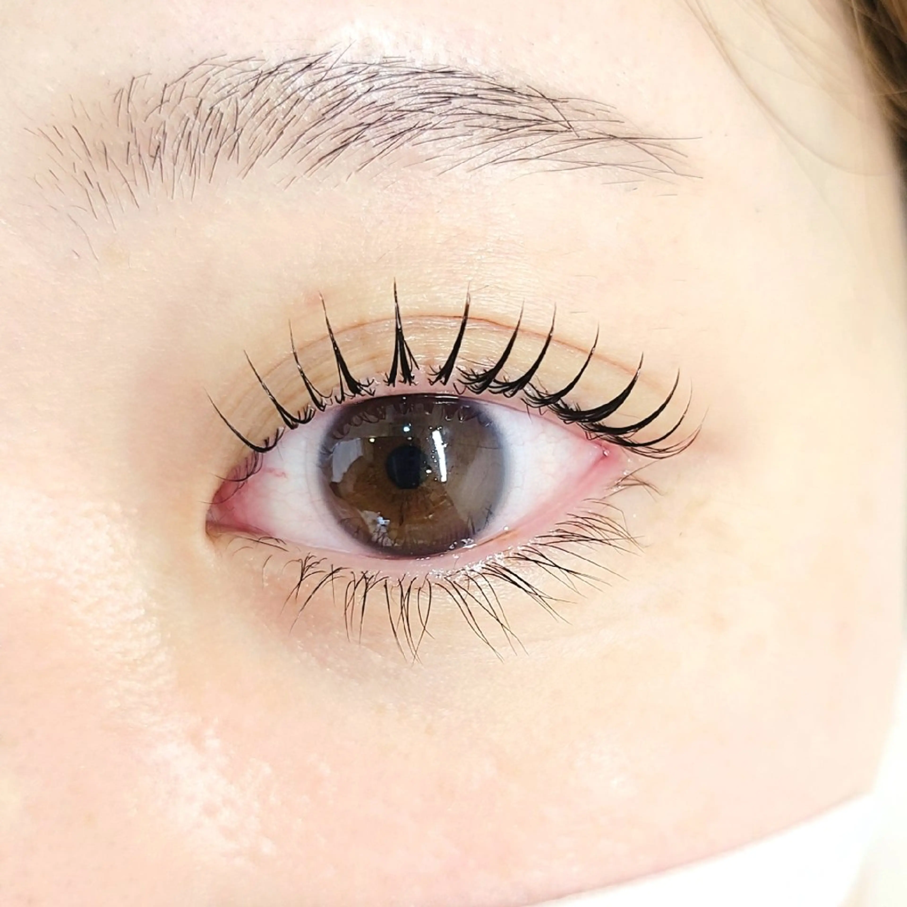 🆕次世代まつ毛パーマ🍭12月平日メニュー 3600円👀【Lash Lift】【まつパ】の写真