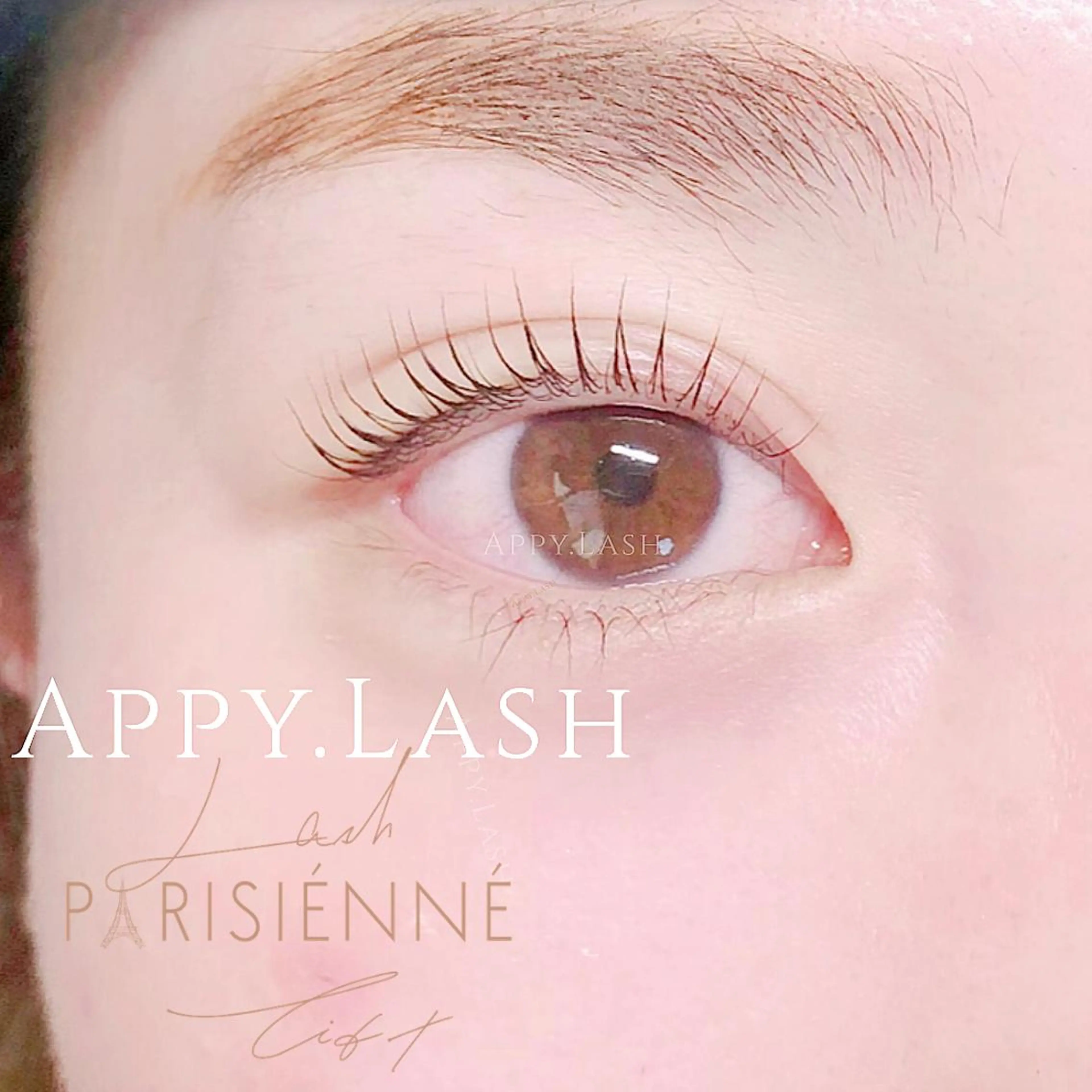 マツエク・マツパ フラットラッシュ パリジェンヌラッシュリフト まつげパーマ 一重×まつ毛パーマ まつげと眉の専門店 Appy.Lashのマツエク・マツパデザイン