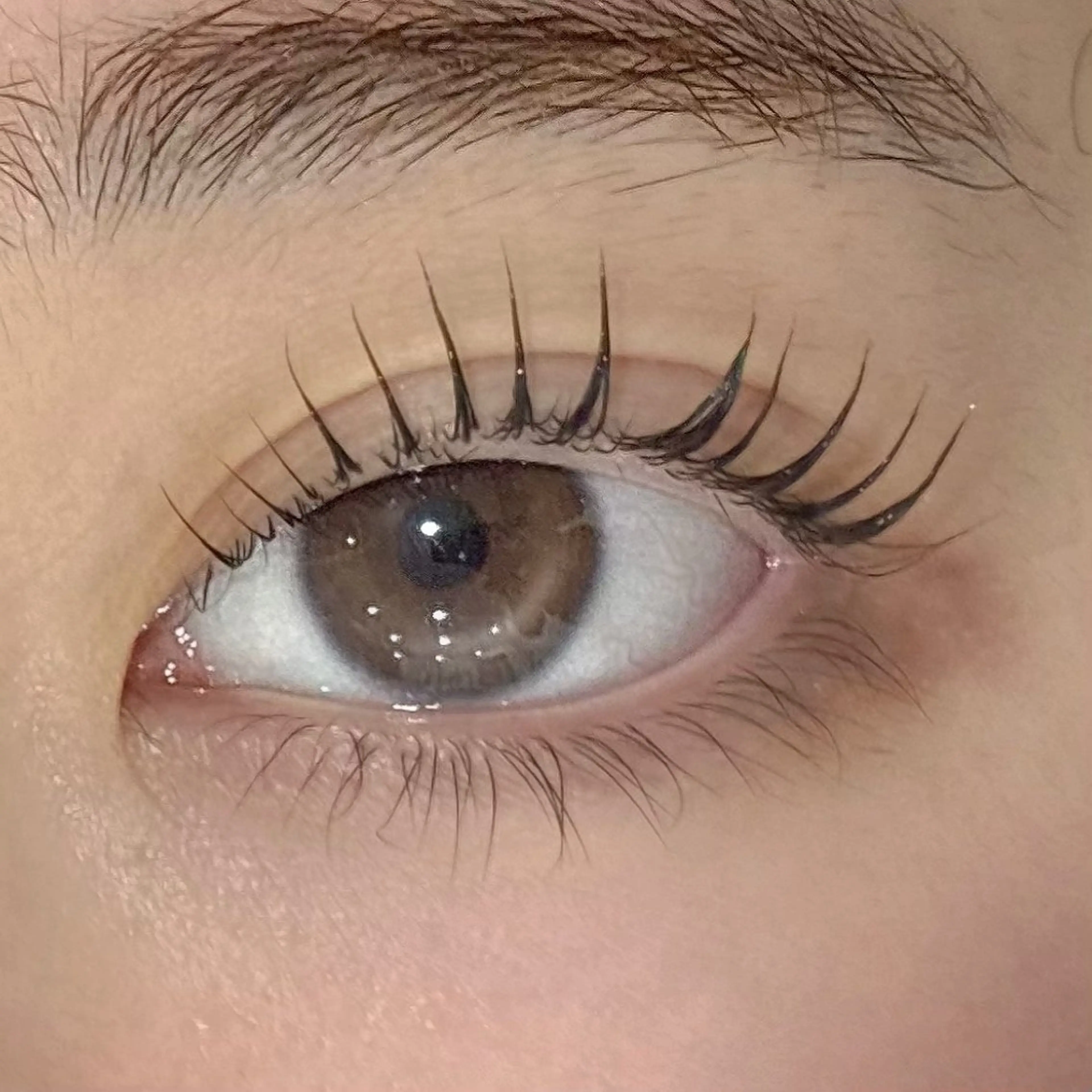 マツパモデルの写真