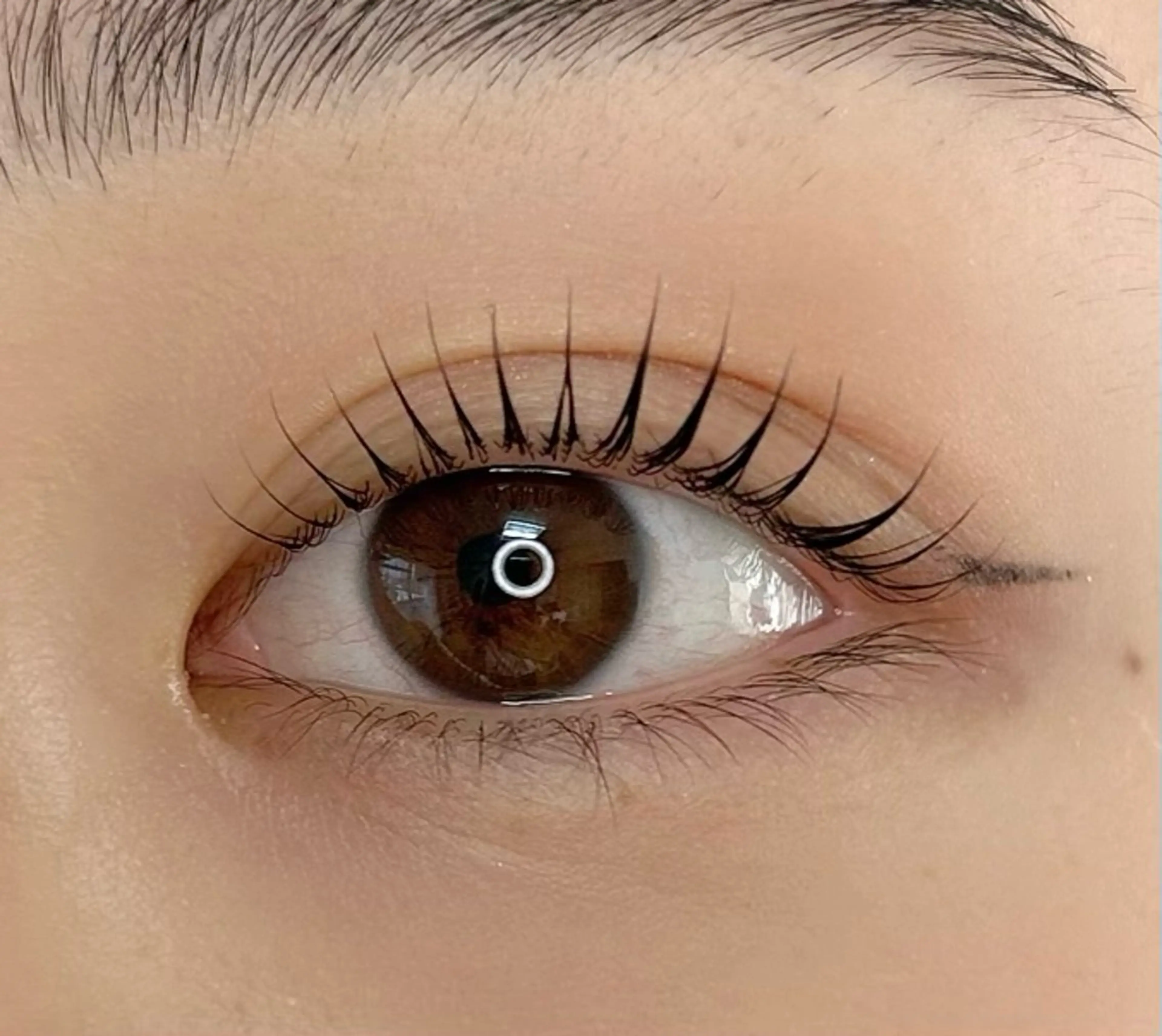 パリジェンヌ、ラッシュリフト（アイシャンプー、トリートメント付き）の写真