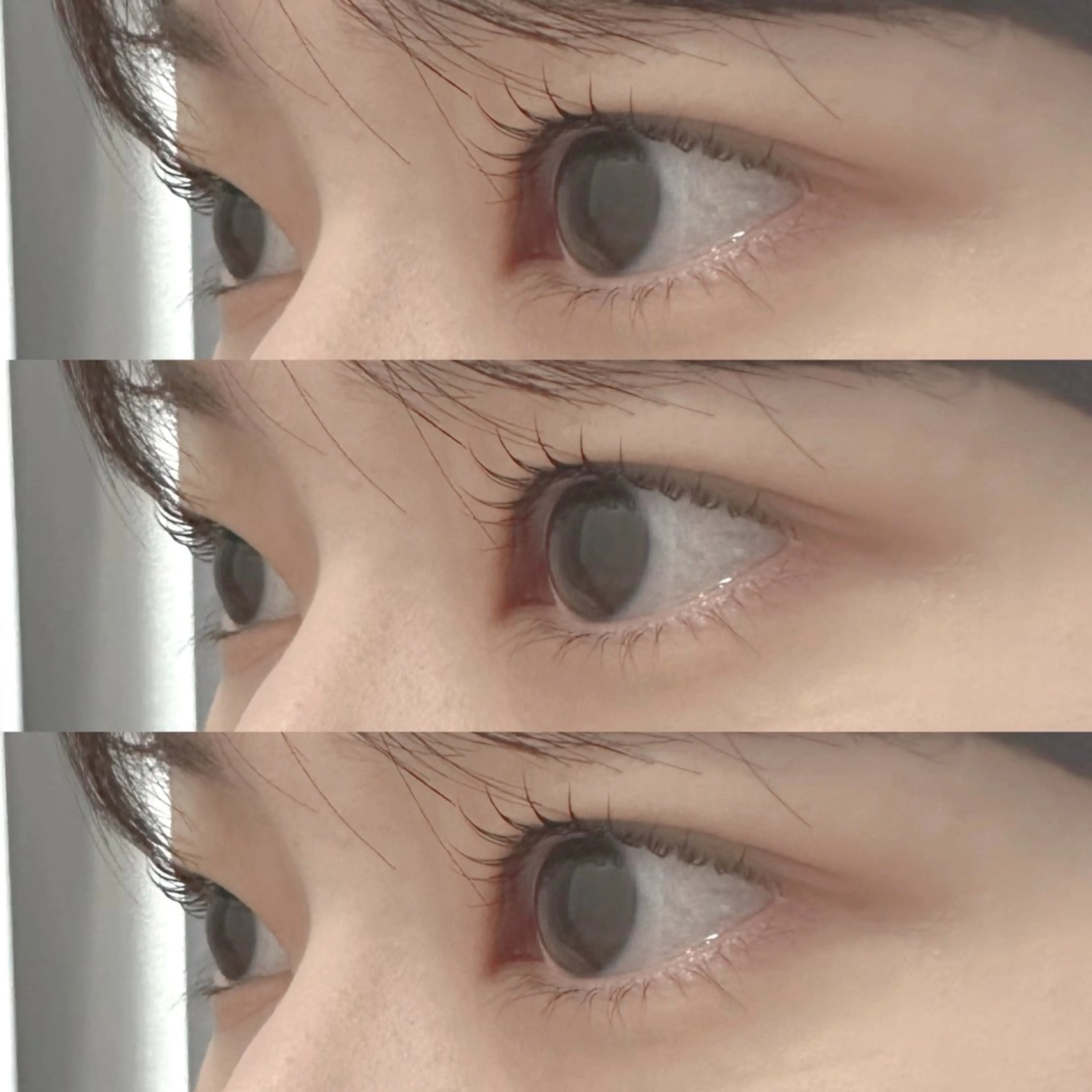 2回目のお客様限定⋆⸜ ⸜ デザインラッシュリフト ⸝‍ ⸝‍⋆の写真