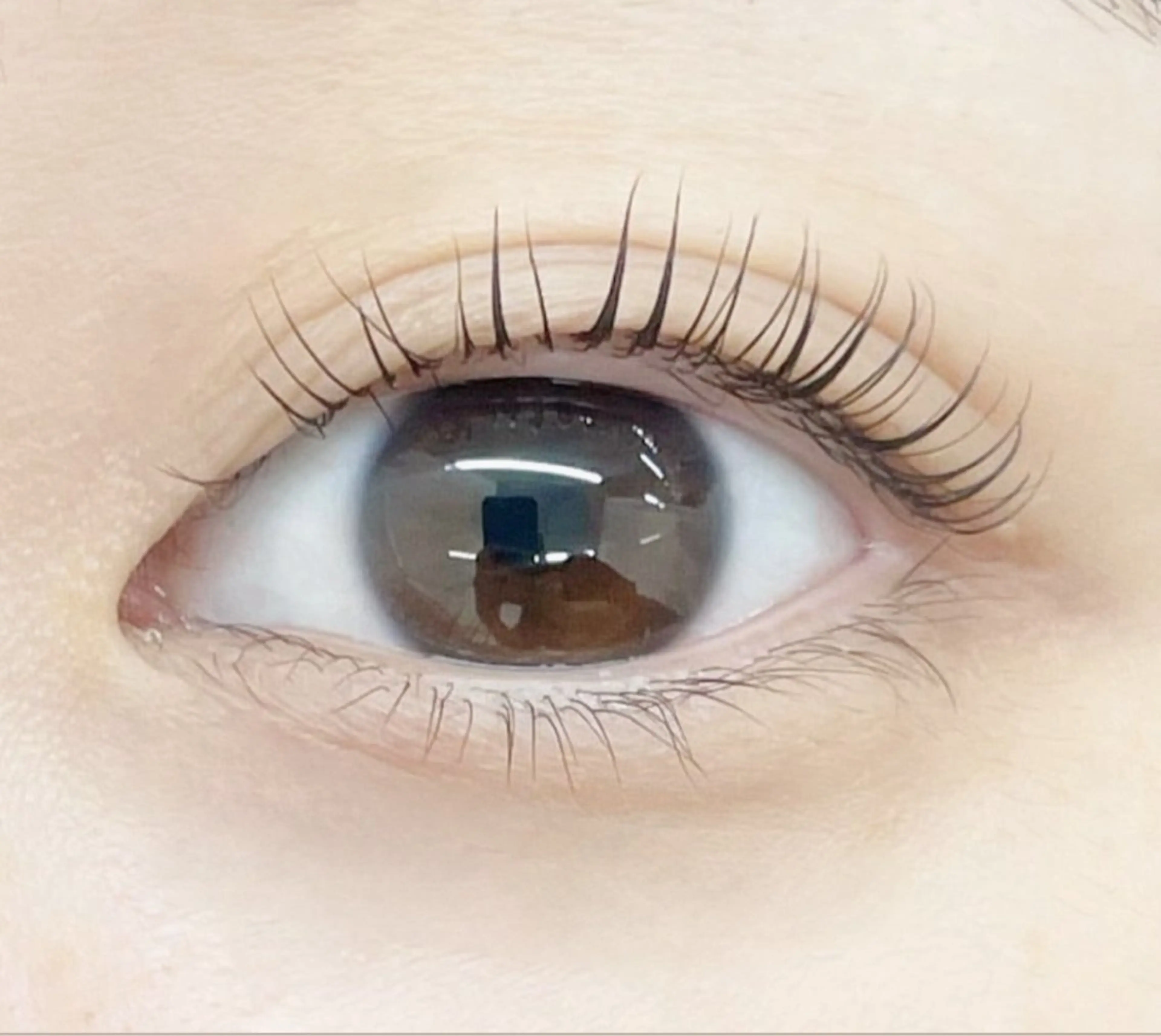 マツエク・マツパ ナチュラル セーブル 🩰Misaki🦢 🪞のマツエク・マツパデザイン