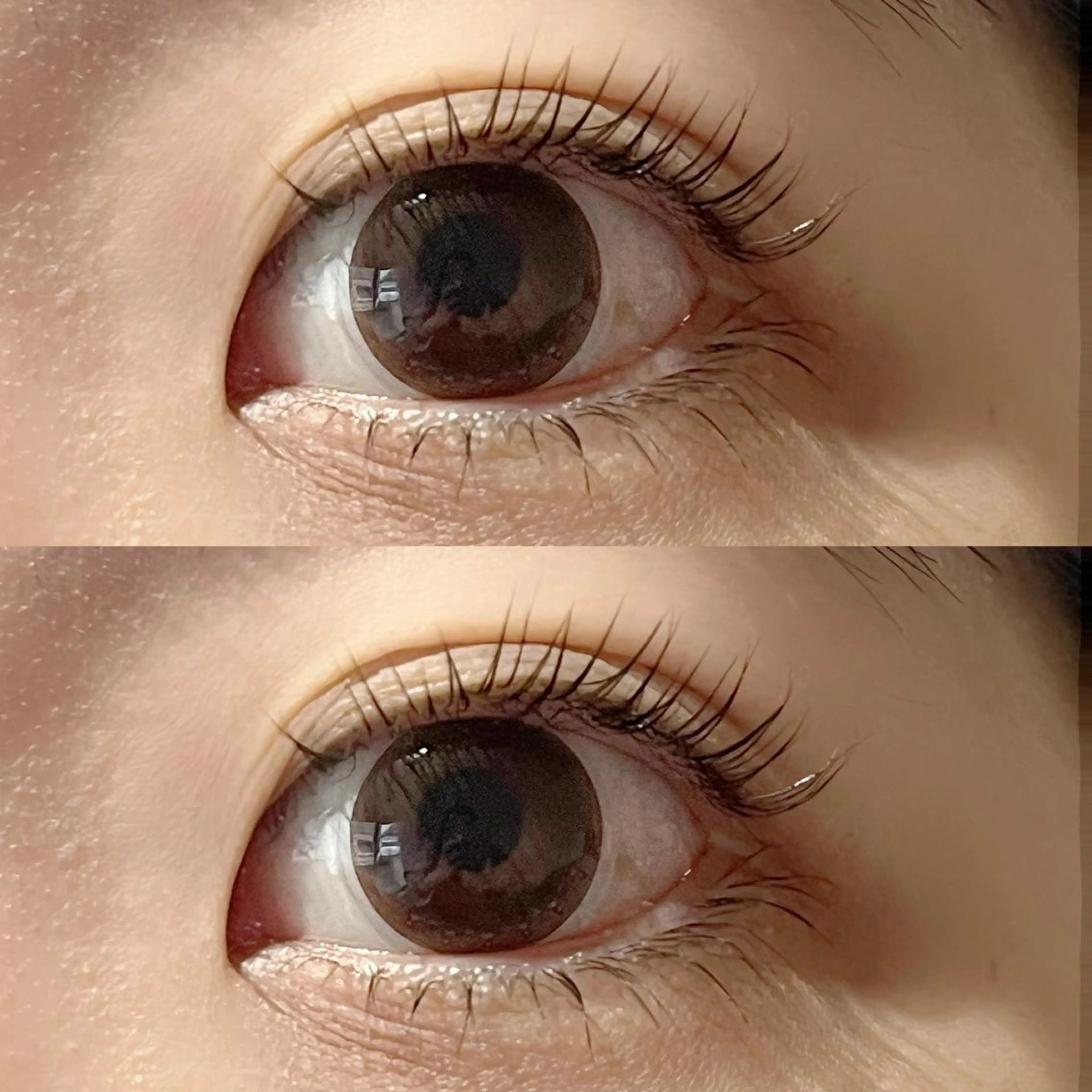 マツエク・マツパ パリジェンヌラッシュリフト マツパ プティリボン🎀 武蔵小金井店のマツエク・マツパデザイン