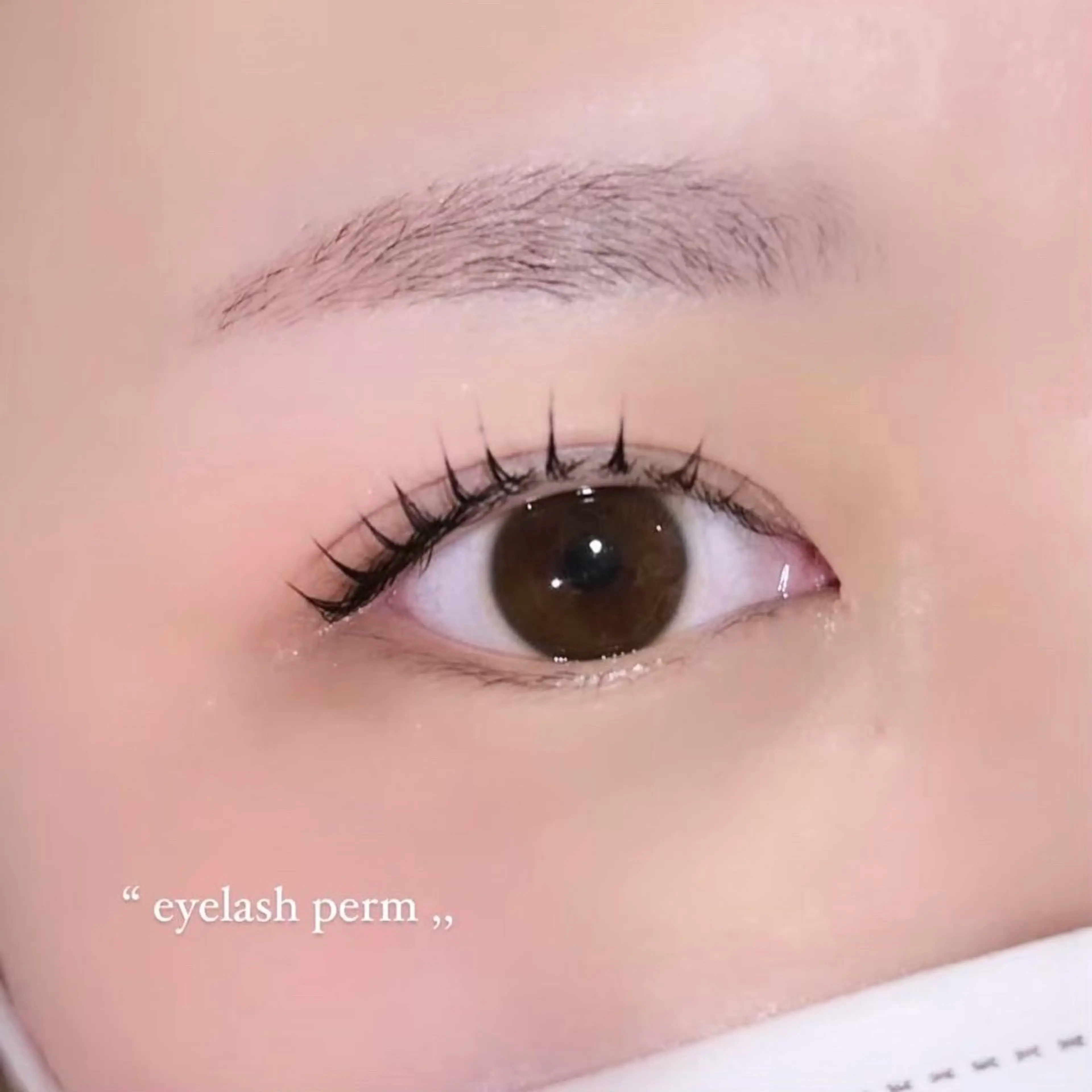 マツエク・マツパ マツパモデル募集中 ルーフアイのマツエク・マツパデザイン